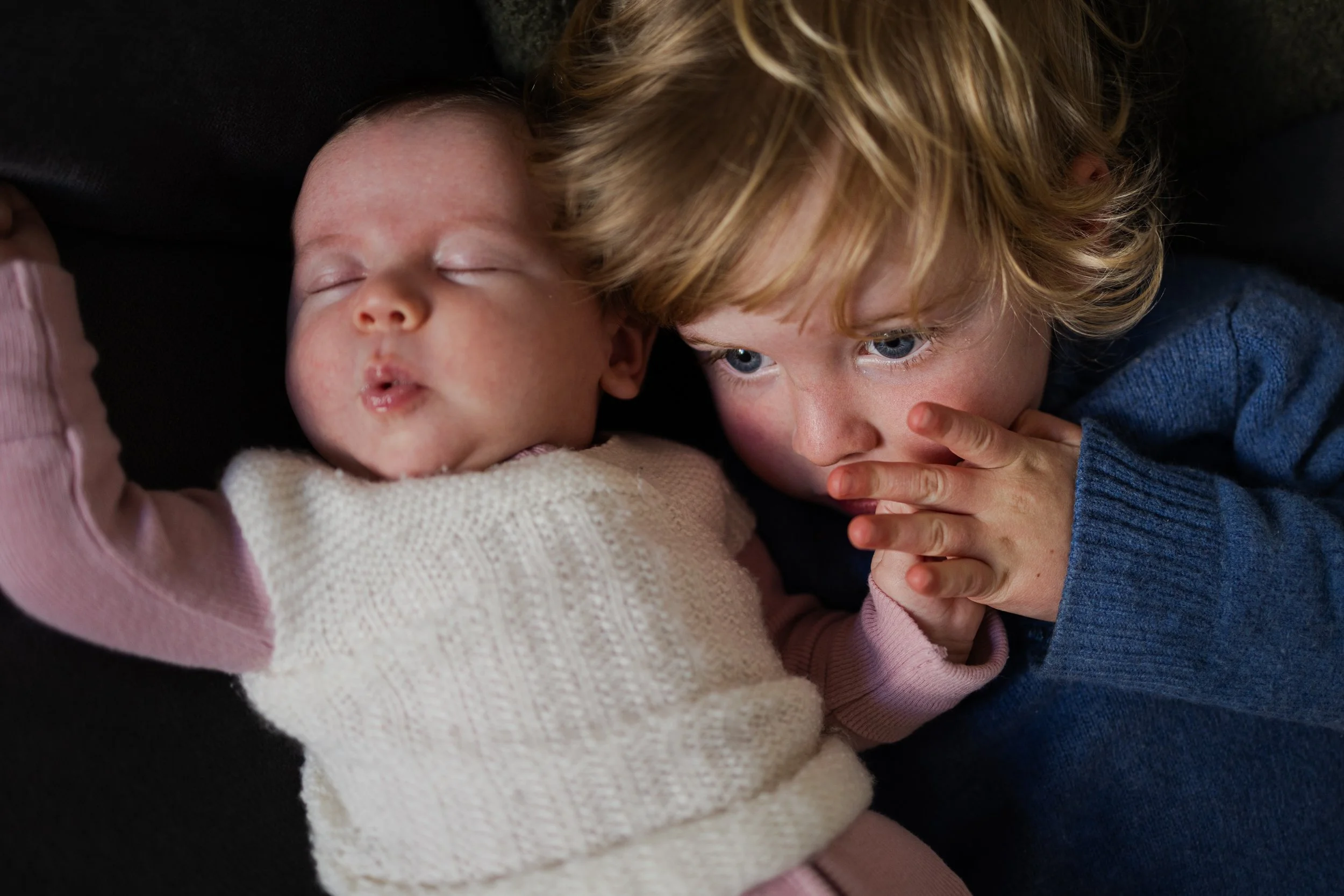 newborn baby and toddler photographer auckland