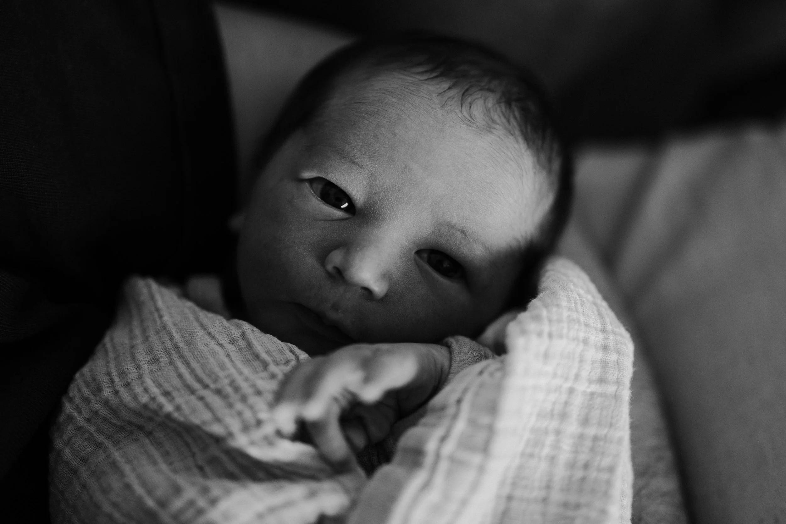 newborn_photography_west_auckland_01.jpg