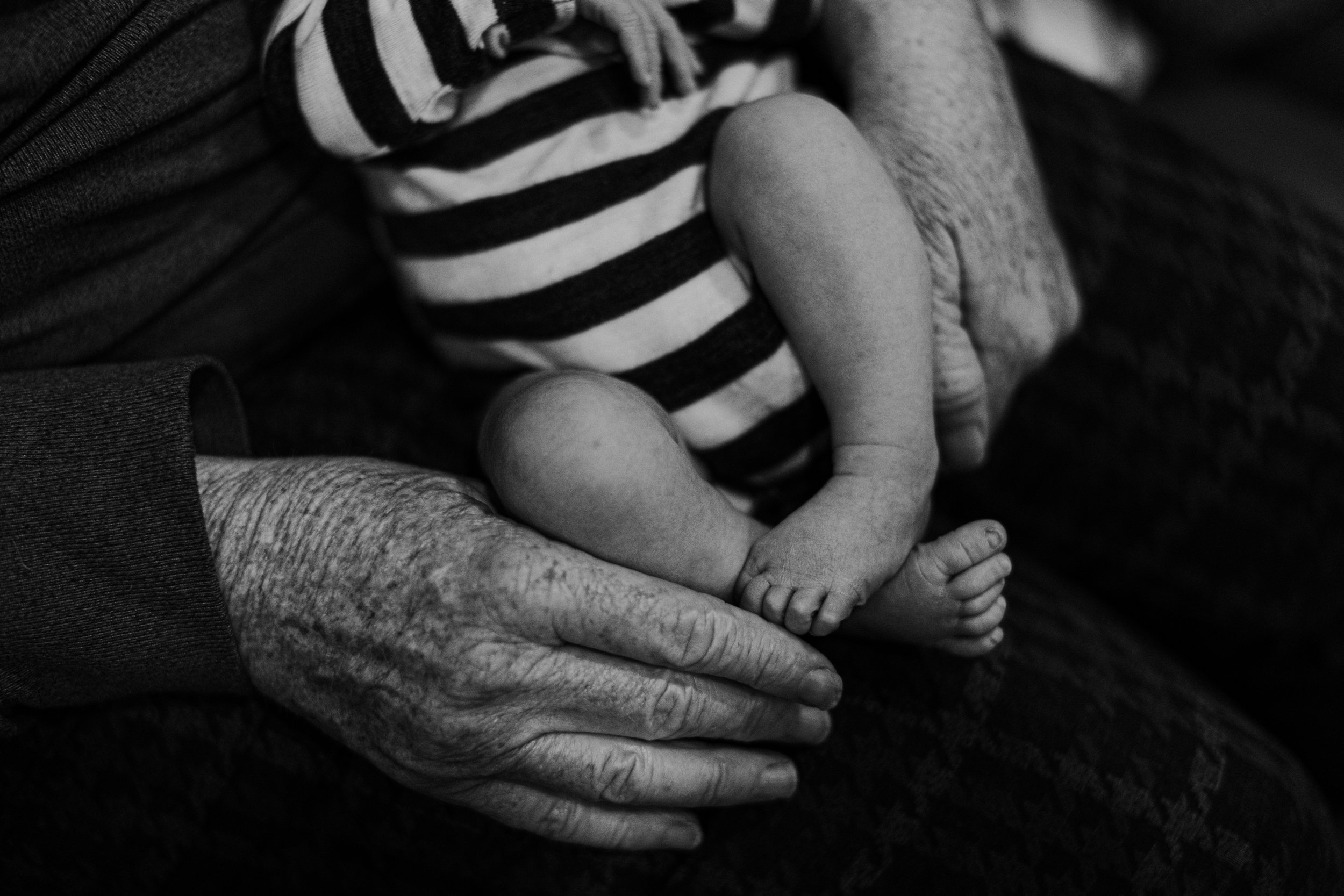 newborn_photography_west_auckland_02.jpg