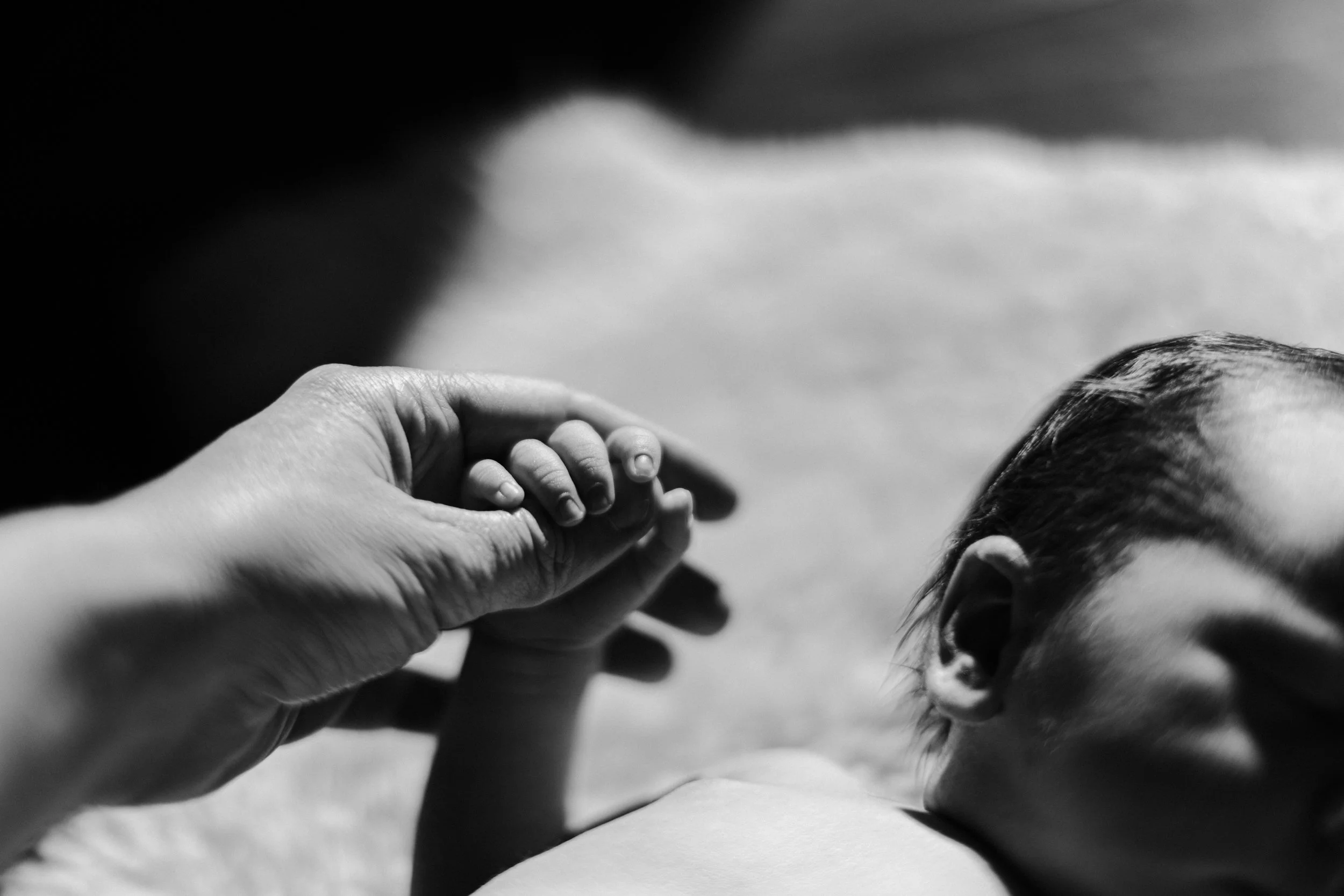 newborn_photography_west_auckland_04.jpg