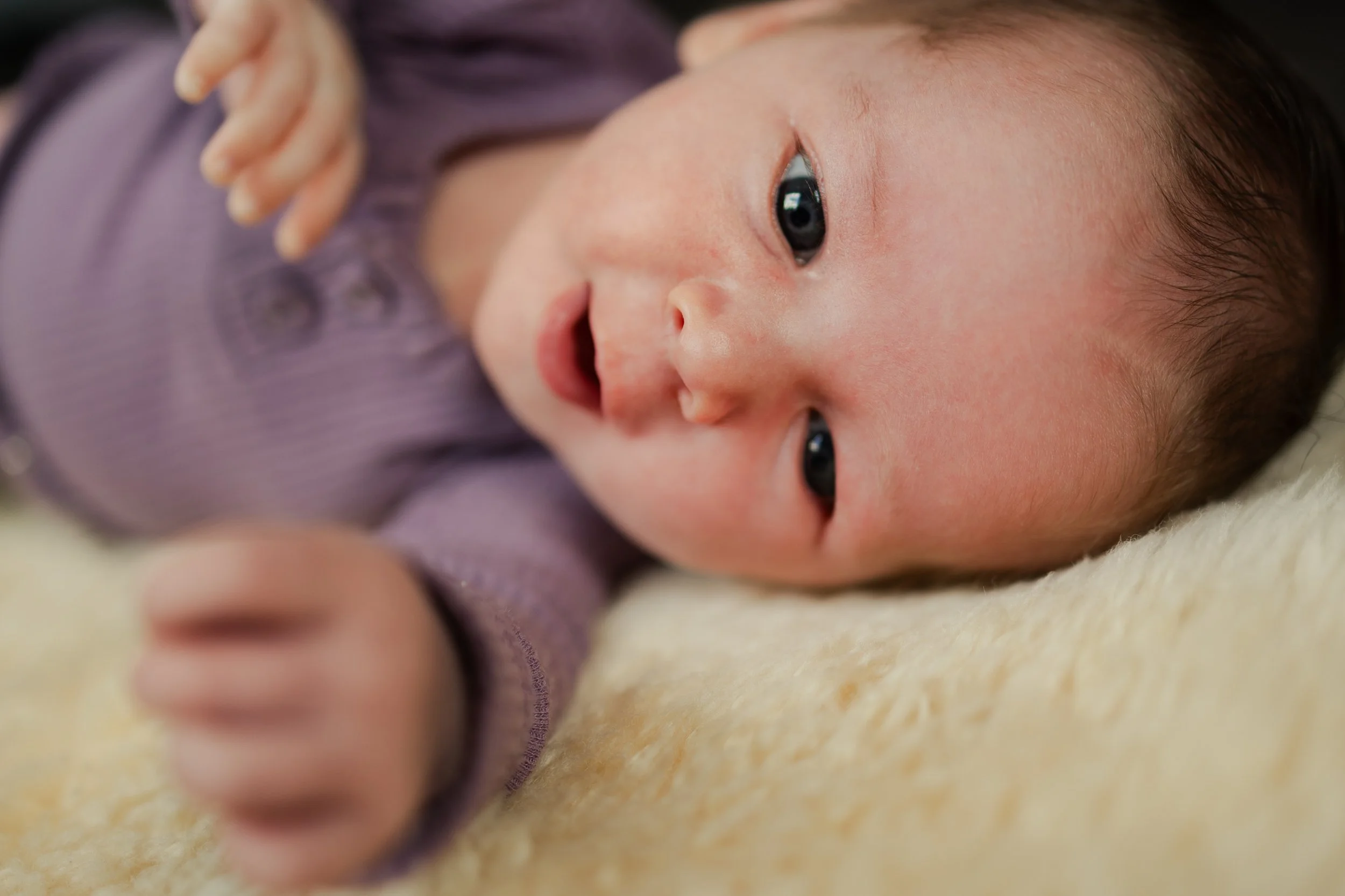 newborn_photography_west_auckland_06.jpg