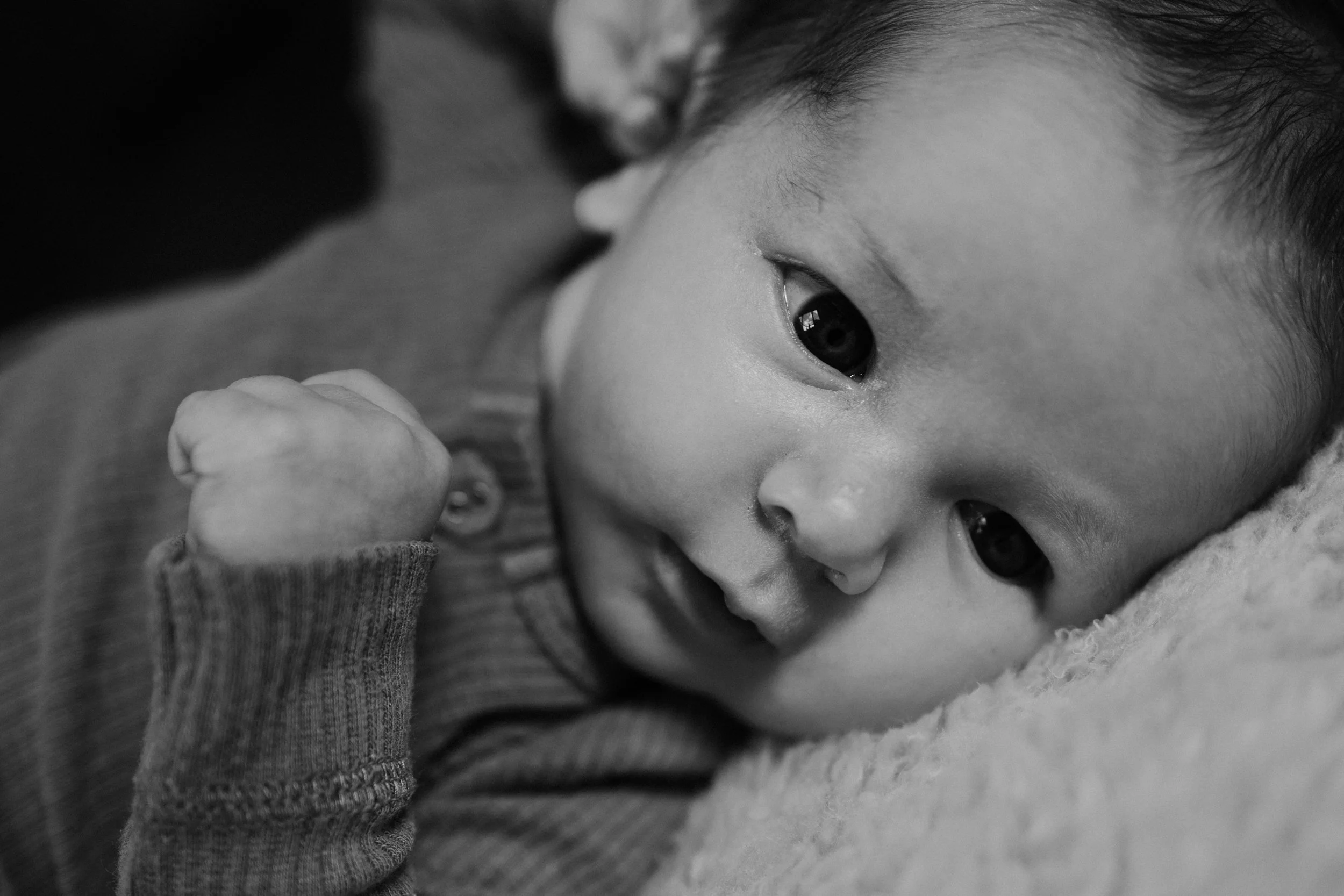 newborn_photography_west_auckland_05.jpg