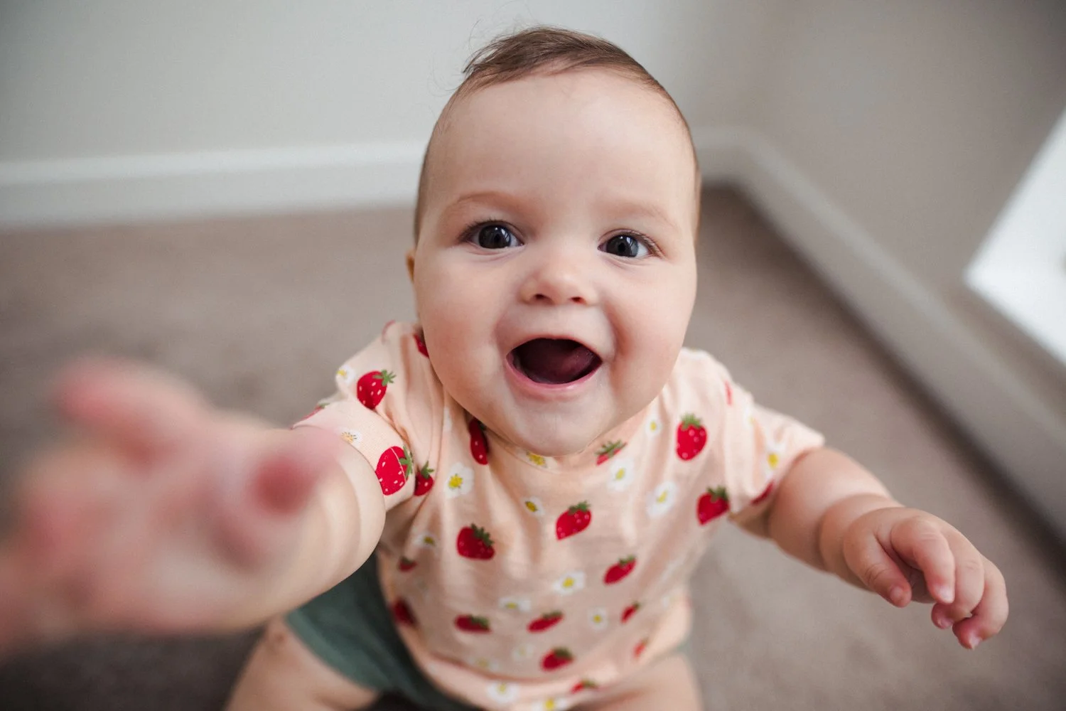 baby mini shoot photographer west auckland