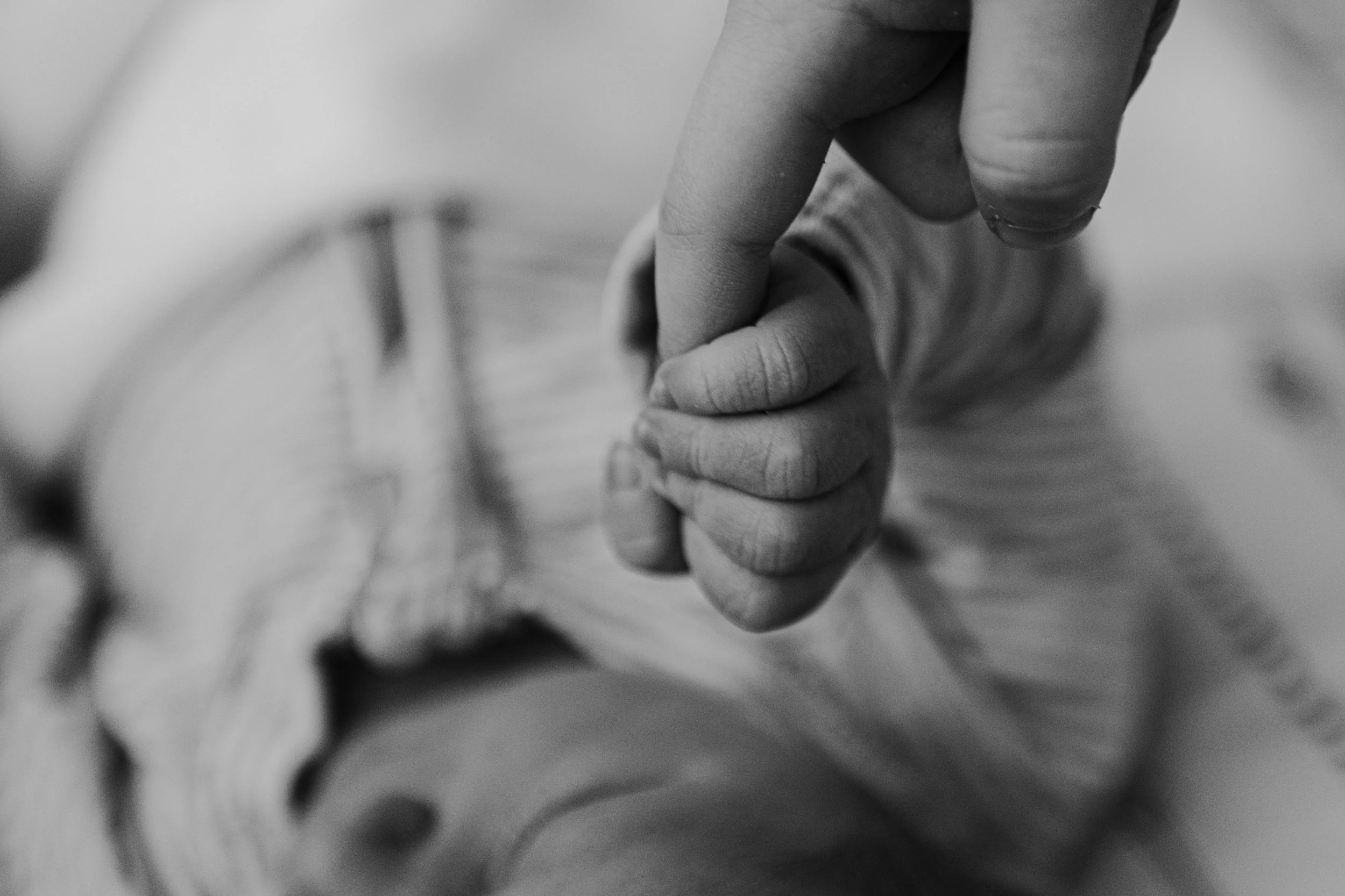 newborn photographer west auckland