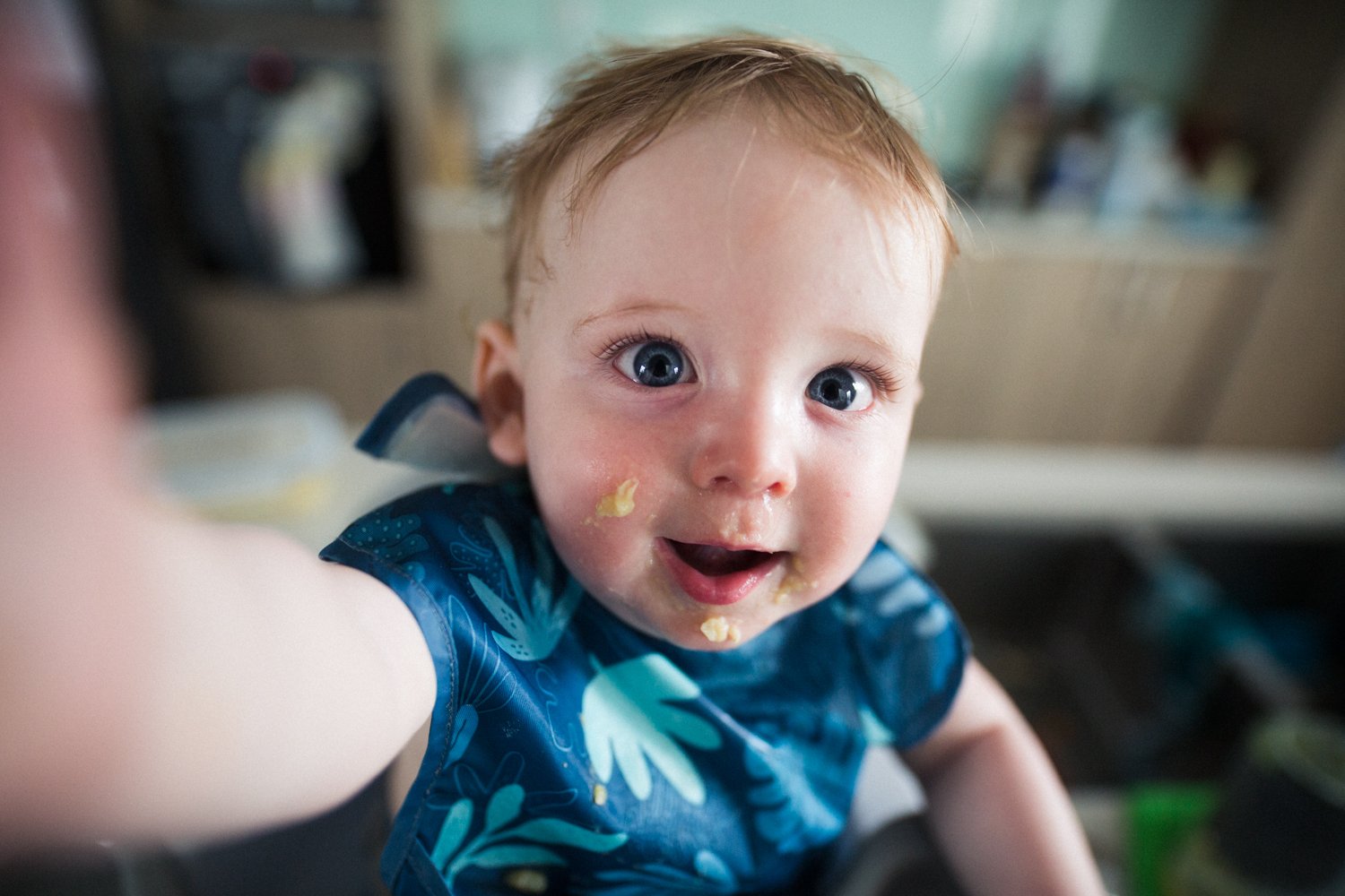 baby photographer auckland