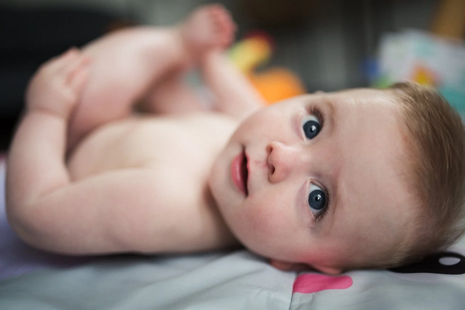 baby photographer auckland