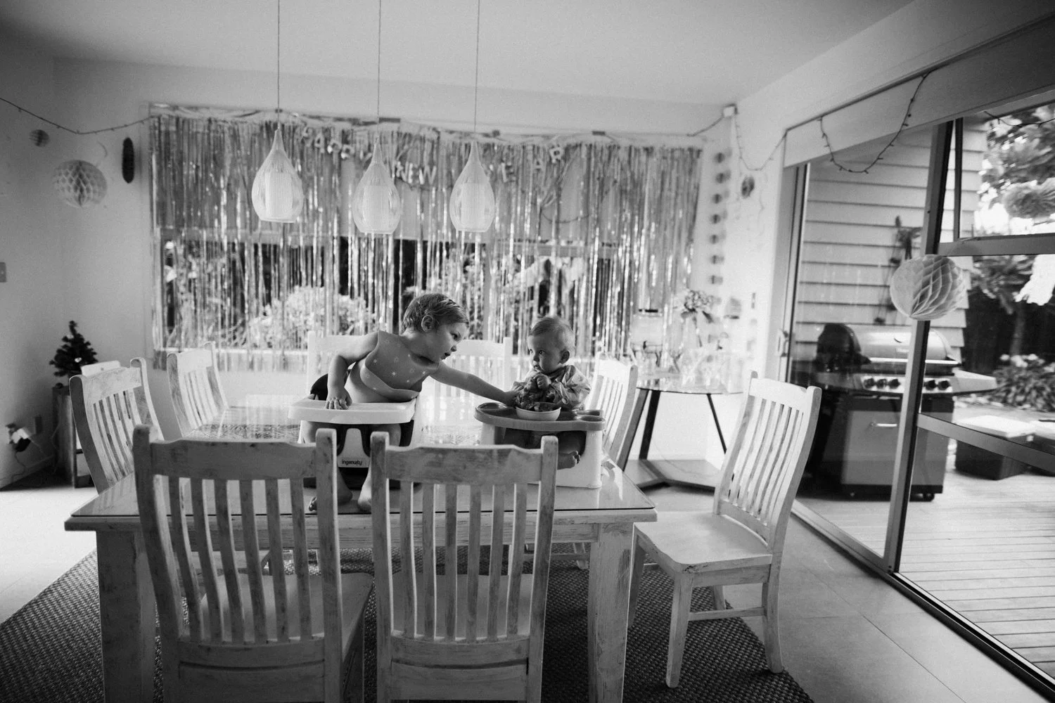 family photographer auckland