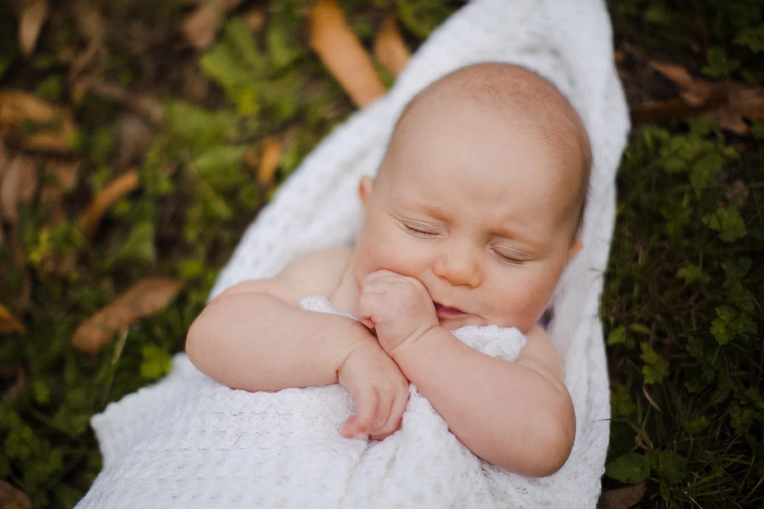 Newborn photographer Auckland, sleeping baby portrait