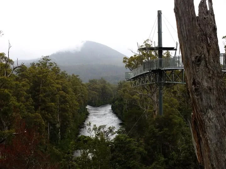 Tahune Air Walk