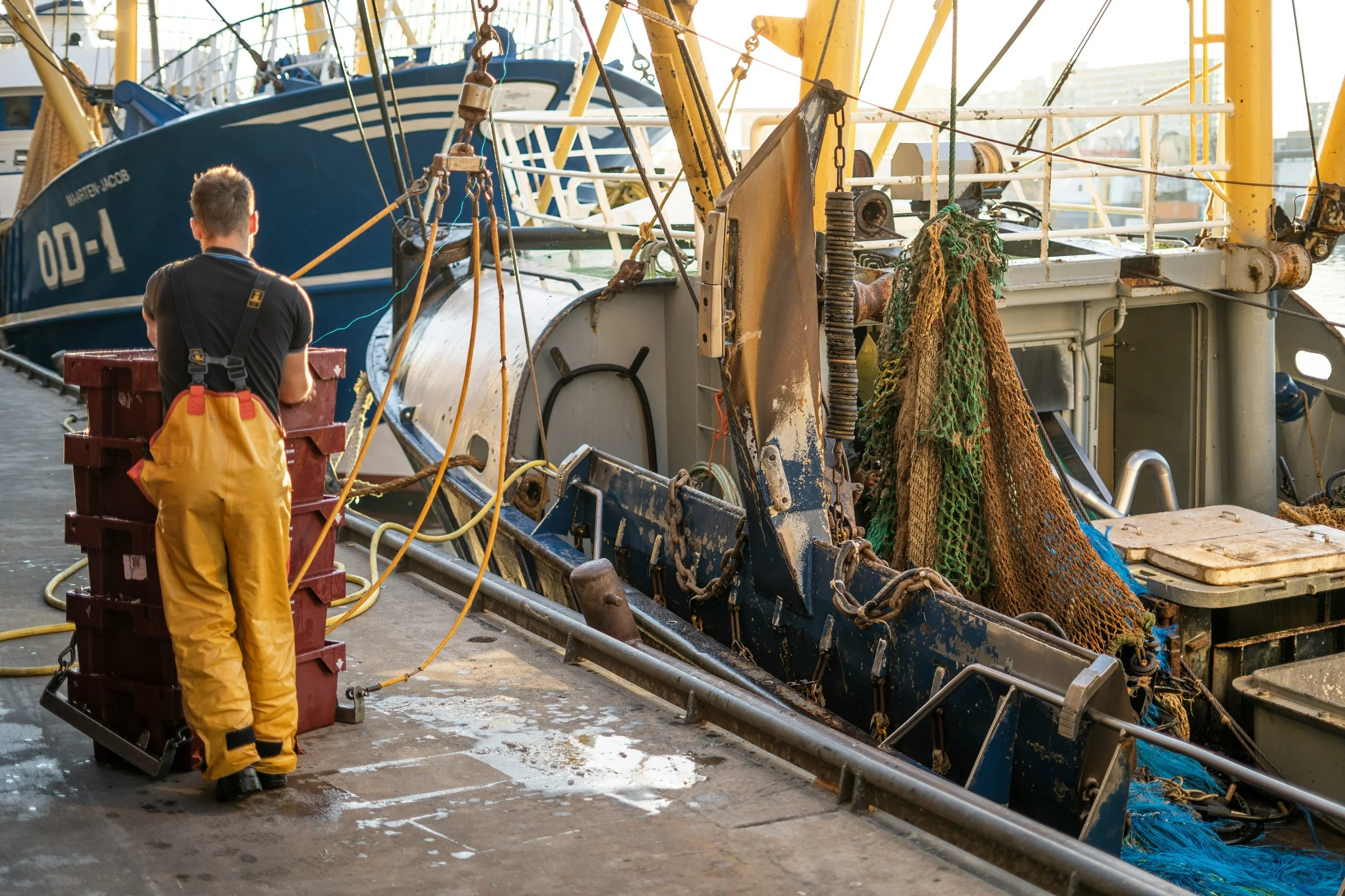 Man on wharf in fishing gear, unloading fish