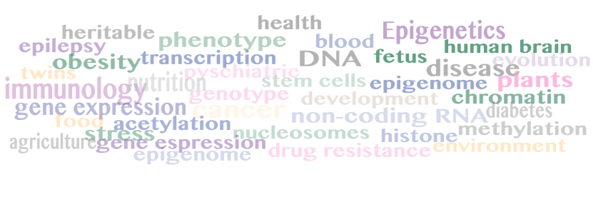 What is Epigenetics?