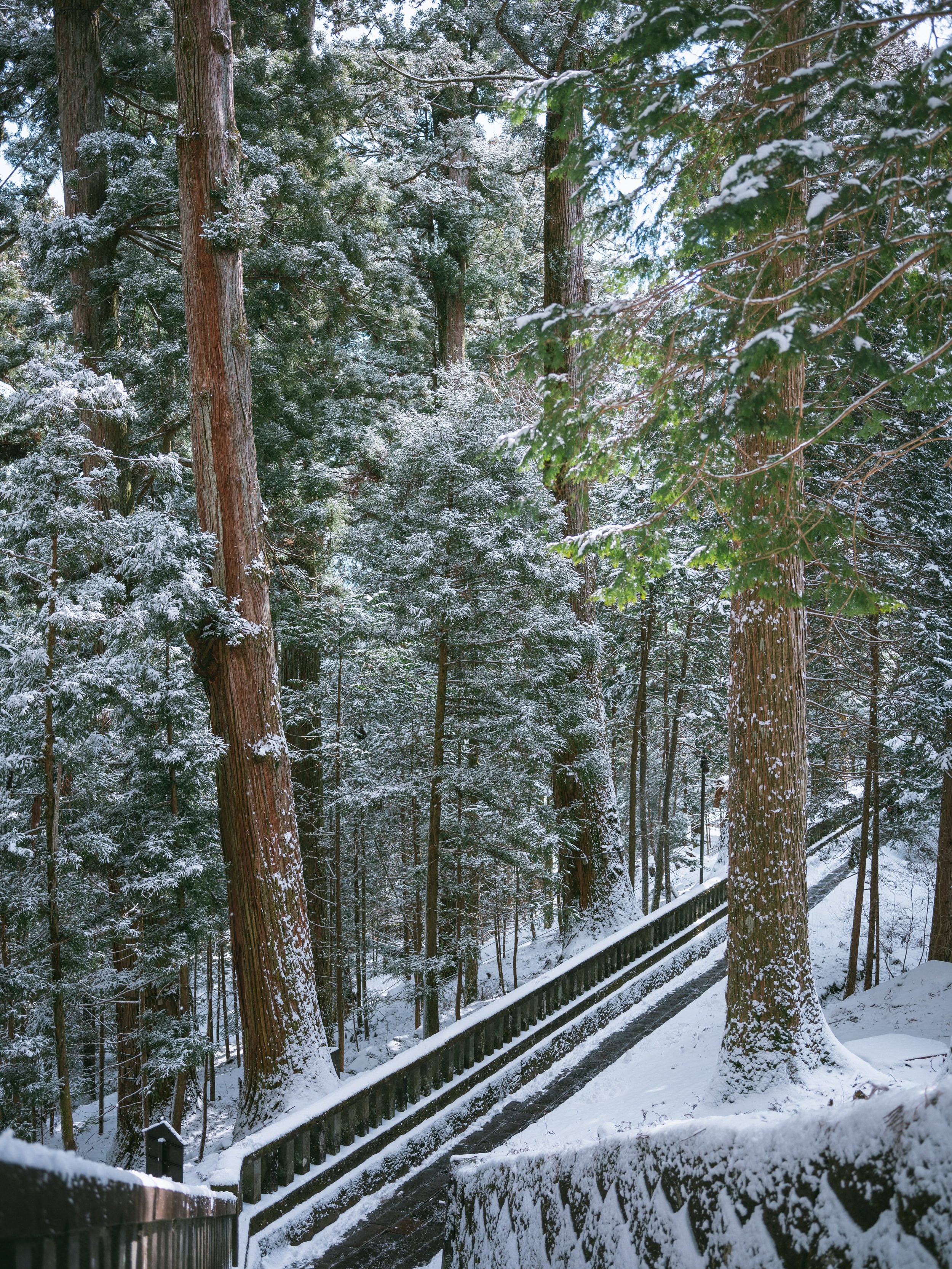 View of the Nikko Tosho-gu (main tourist landmark) is cover by snow on February 18, 2023 in Nikko Japan.