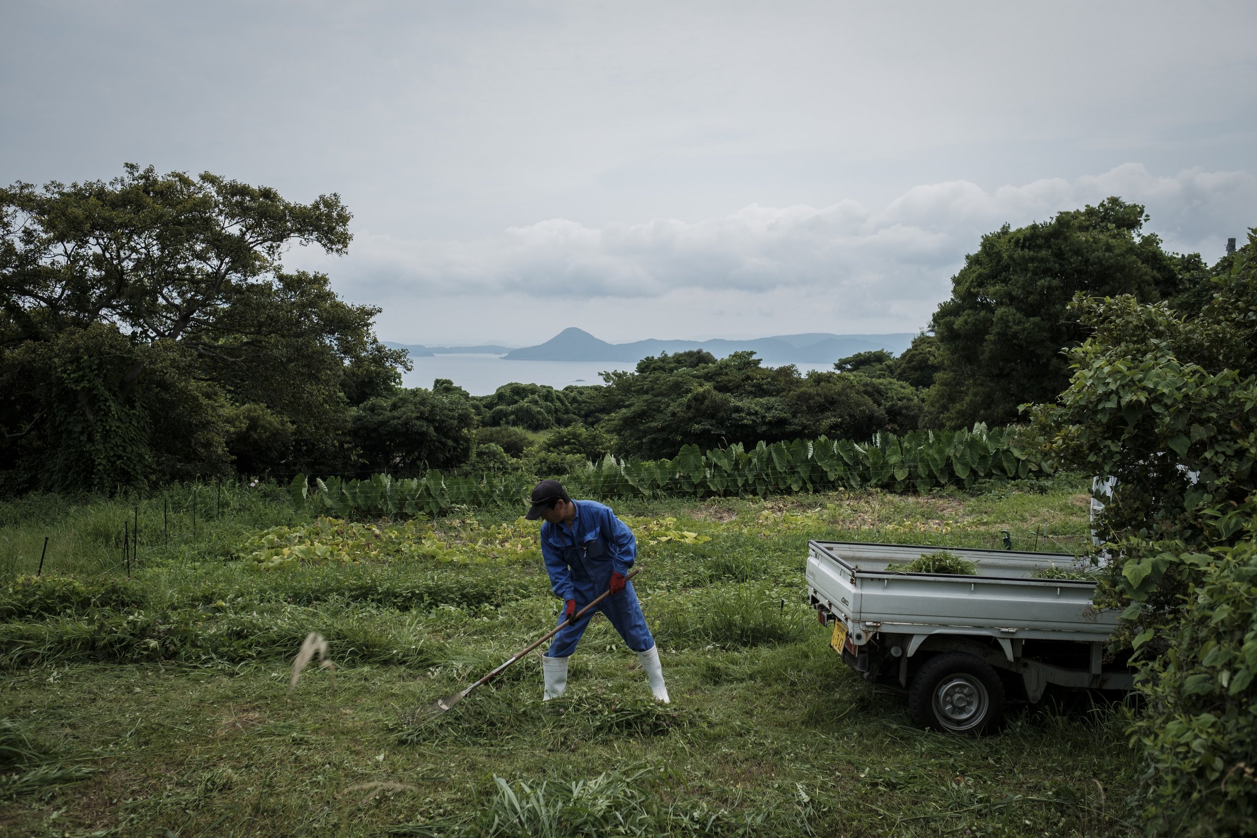 Mr Tanaka's son takes continuation of family wagyu (japanese famous beef) business, but for him he is buddhist and didn't take the continuation of hidden christian's culture.
