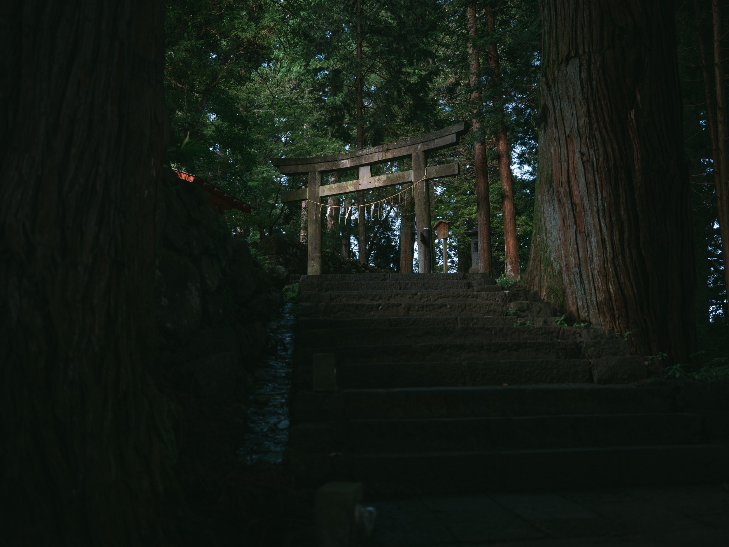 A Torii (a gate symbolically marks the transition from the mundane to the sacred) in Nikko Toshogu shrine on September 21, 2021 in Nikko, Japan.