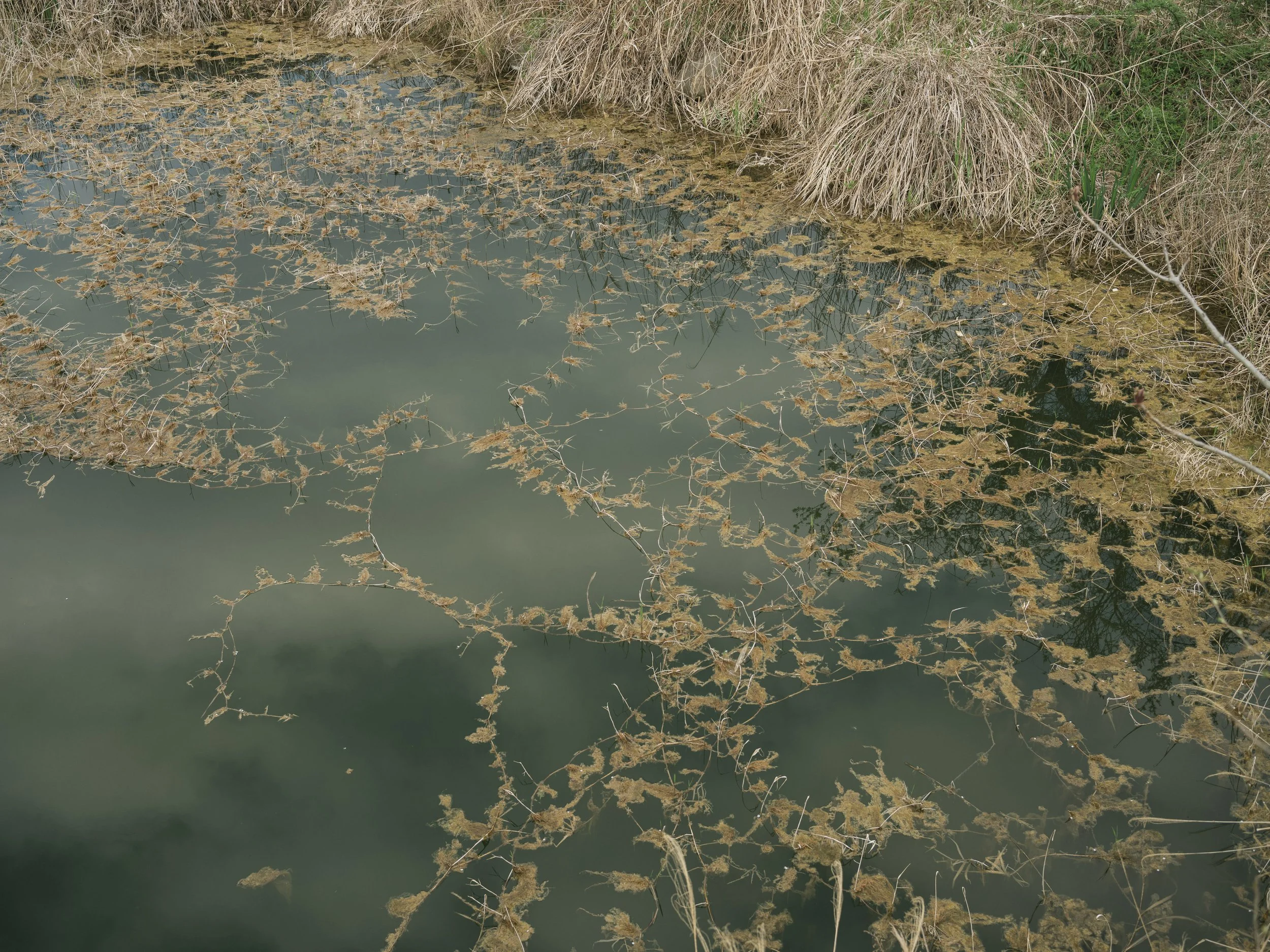 View of Daiya river in Nikko on March 06, 2023 in Nikko, Japan. /On the 24th, a police officer, who was searching for a missing person in another case, found a bleached human body with the skull and bones of the whole body in the bushes on the bank o