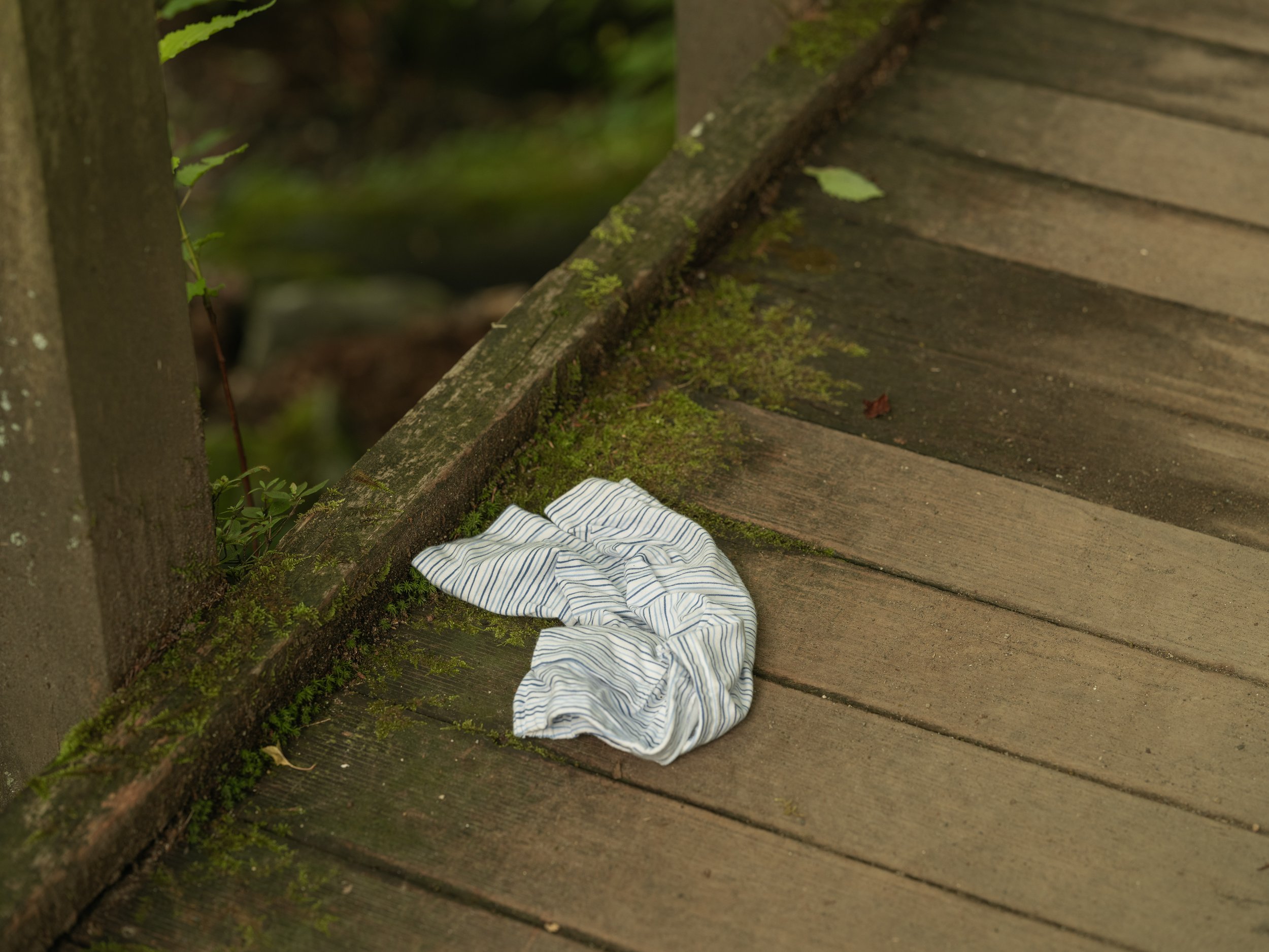A handkerchief forgotten by a tourist in the Kanmangafuchi Abyss on July 18, 2023 in Nikko Japan.