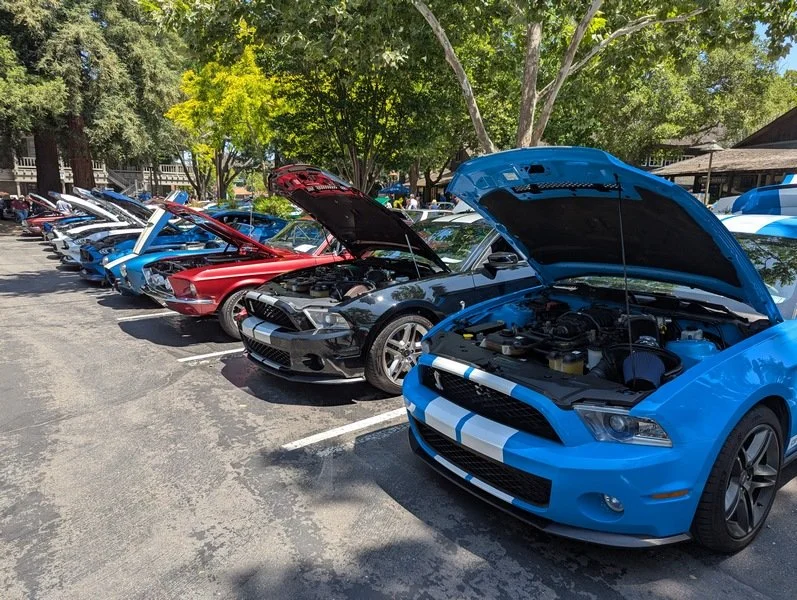 PXL_20250622_210652919 [800x600].jpg