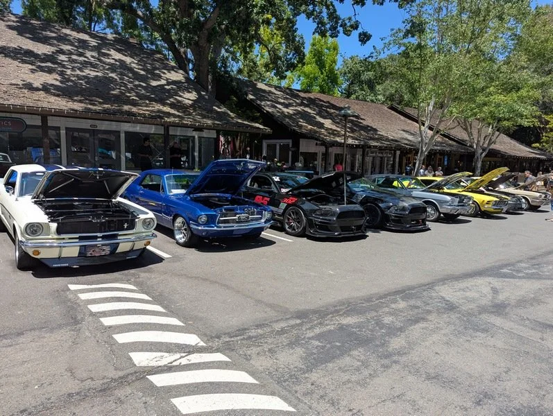 PXL_20250622_210648198 [800x600].jpg