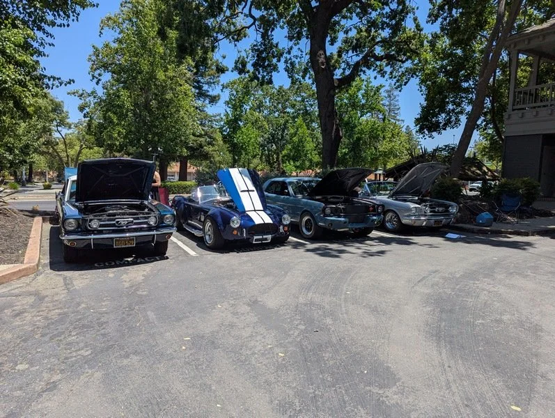 PXL_20250622_205403918 [800x600].jpg