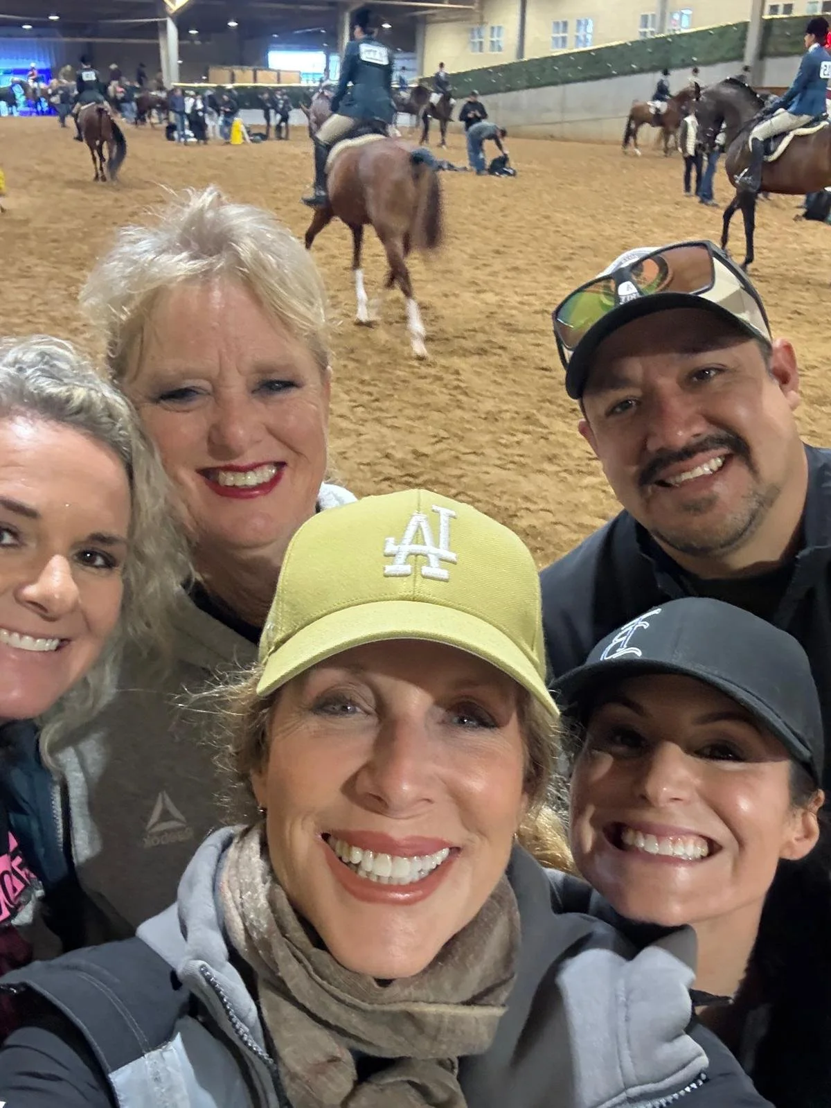 TB Equine Client Experience