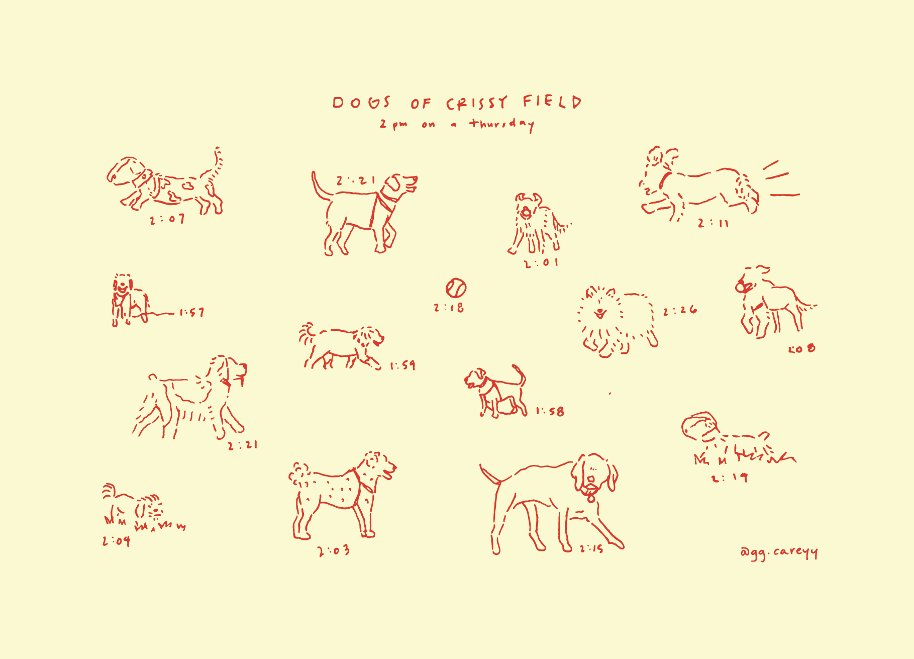 SF Creatures_ggcareyy crissy field creatures print.png