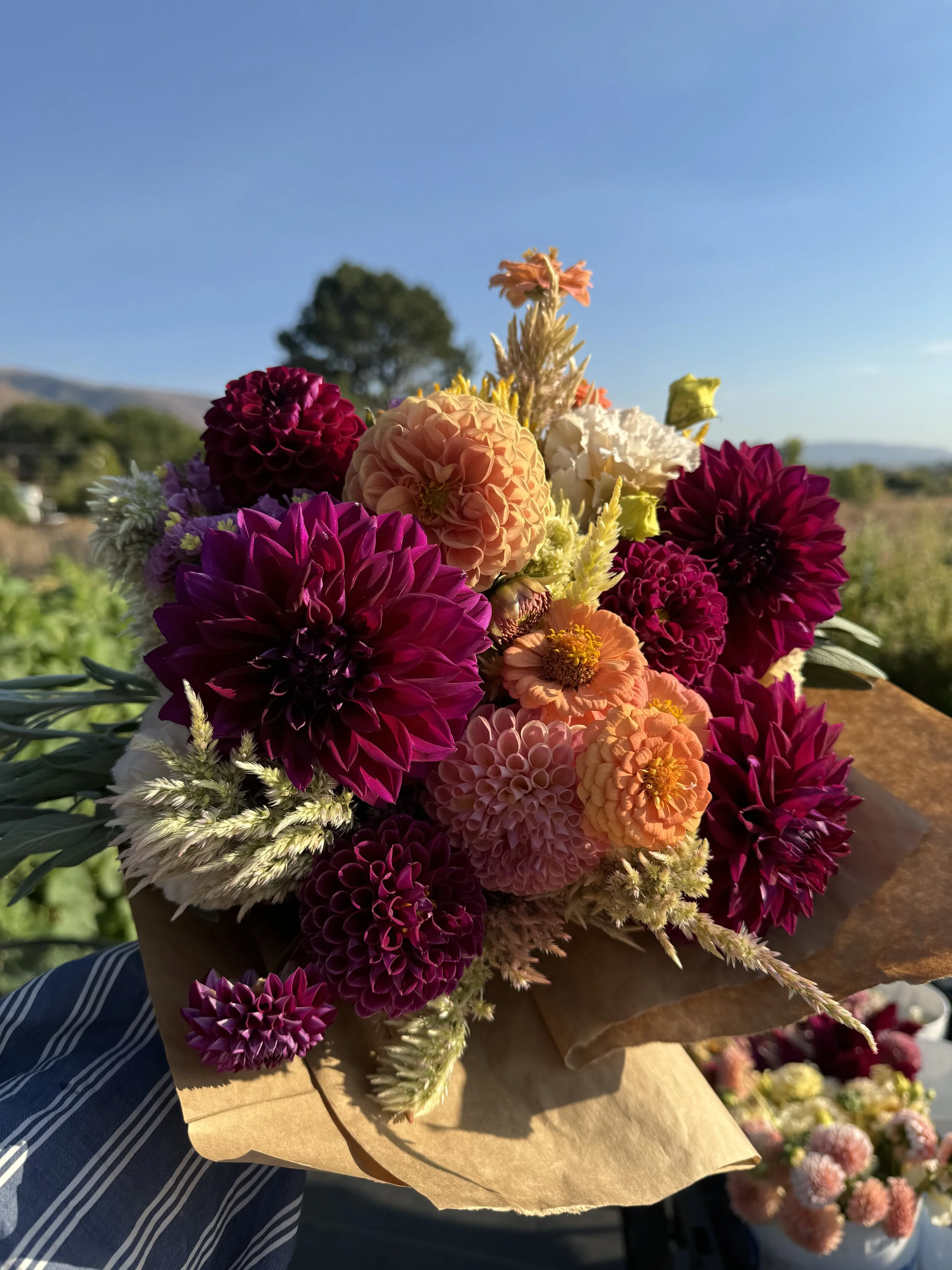 IMG_7153.jpeg