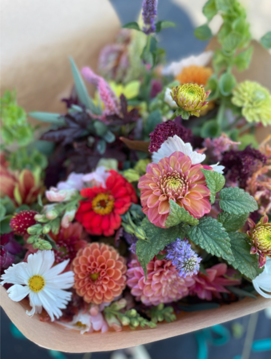 Screenshot 2023-03-13 at 11.01.18 AM.png