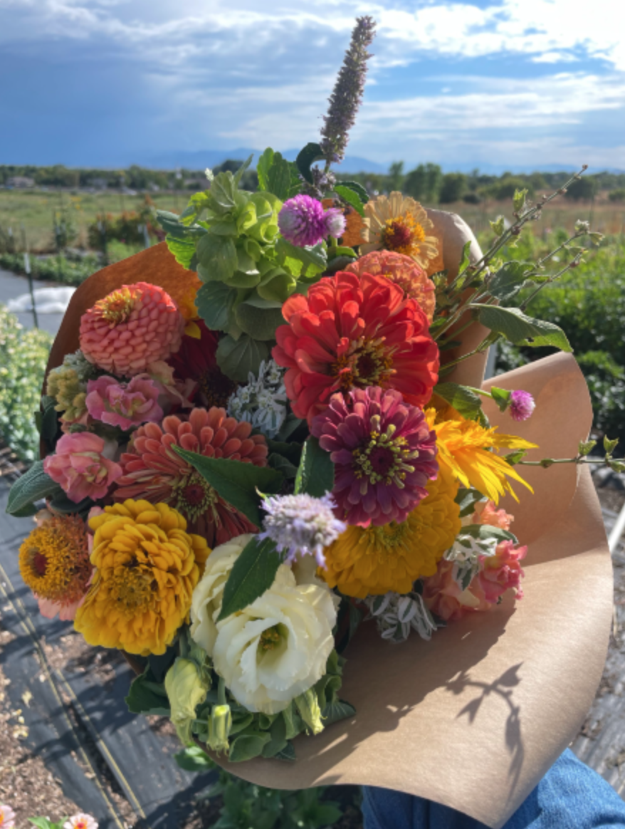 Screenshot 2023-03-13 at 11.01.45 AM.png