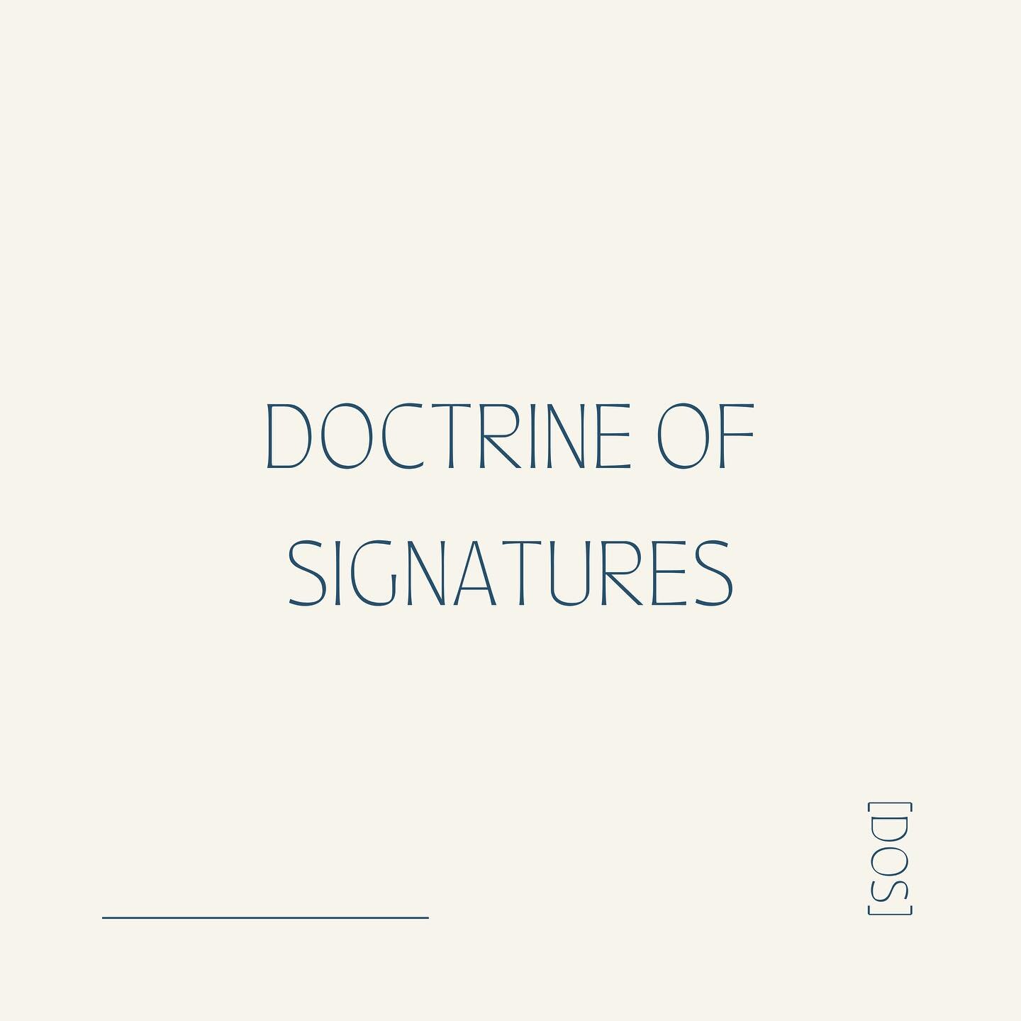 The Doctrine of Signatures is a historical theory that proposes that the physical characteristics of a plant (colour, shape and texture) can provide clues about its medicinal properties and therapeutic benefits.

For example, yellow or gold-coloured 