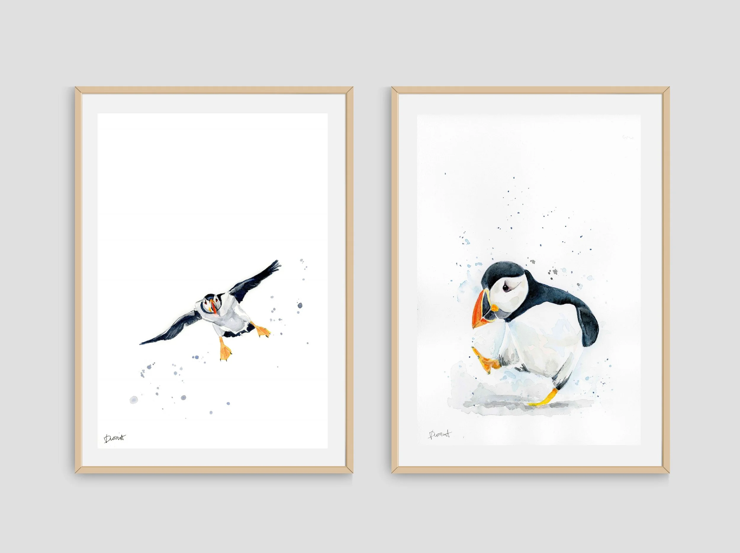 puffin bird set.jpg