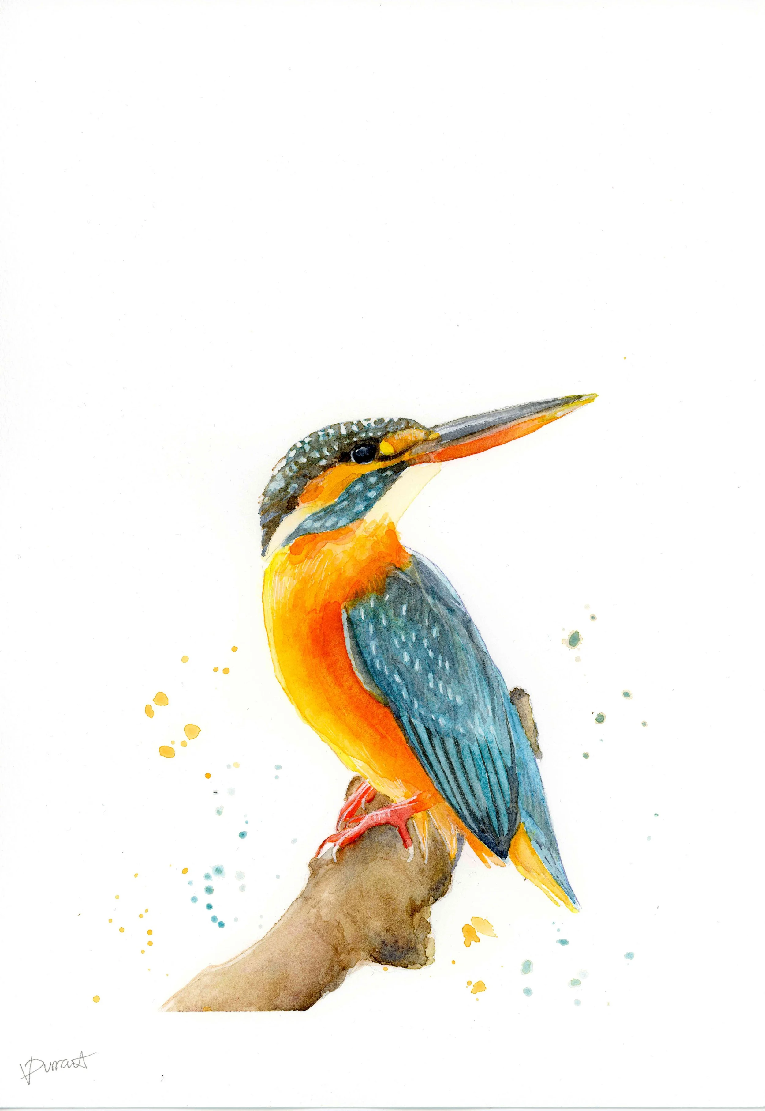 kingfisher 1mb.jpg