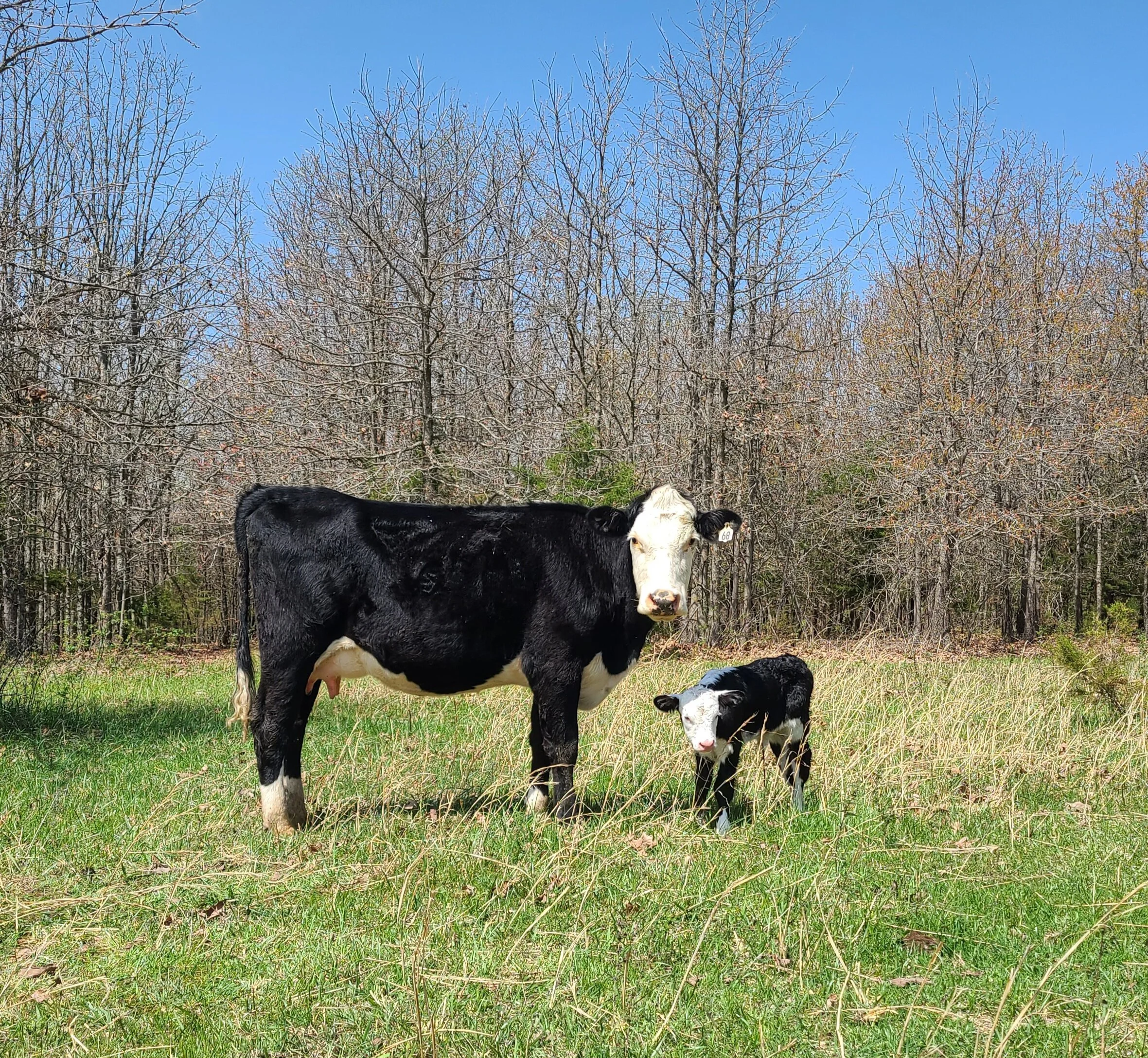 AnnaBelle n Martha.jpg