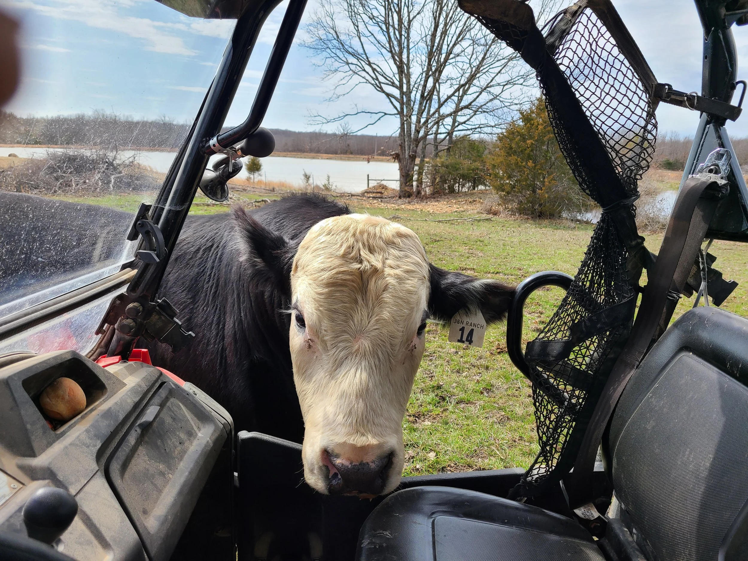 COACH N 4-WHEELER.jpg