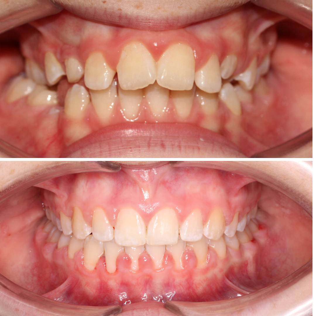 Shona Kane website (1).png