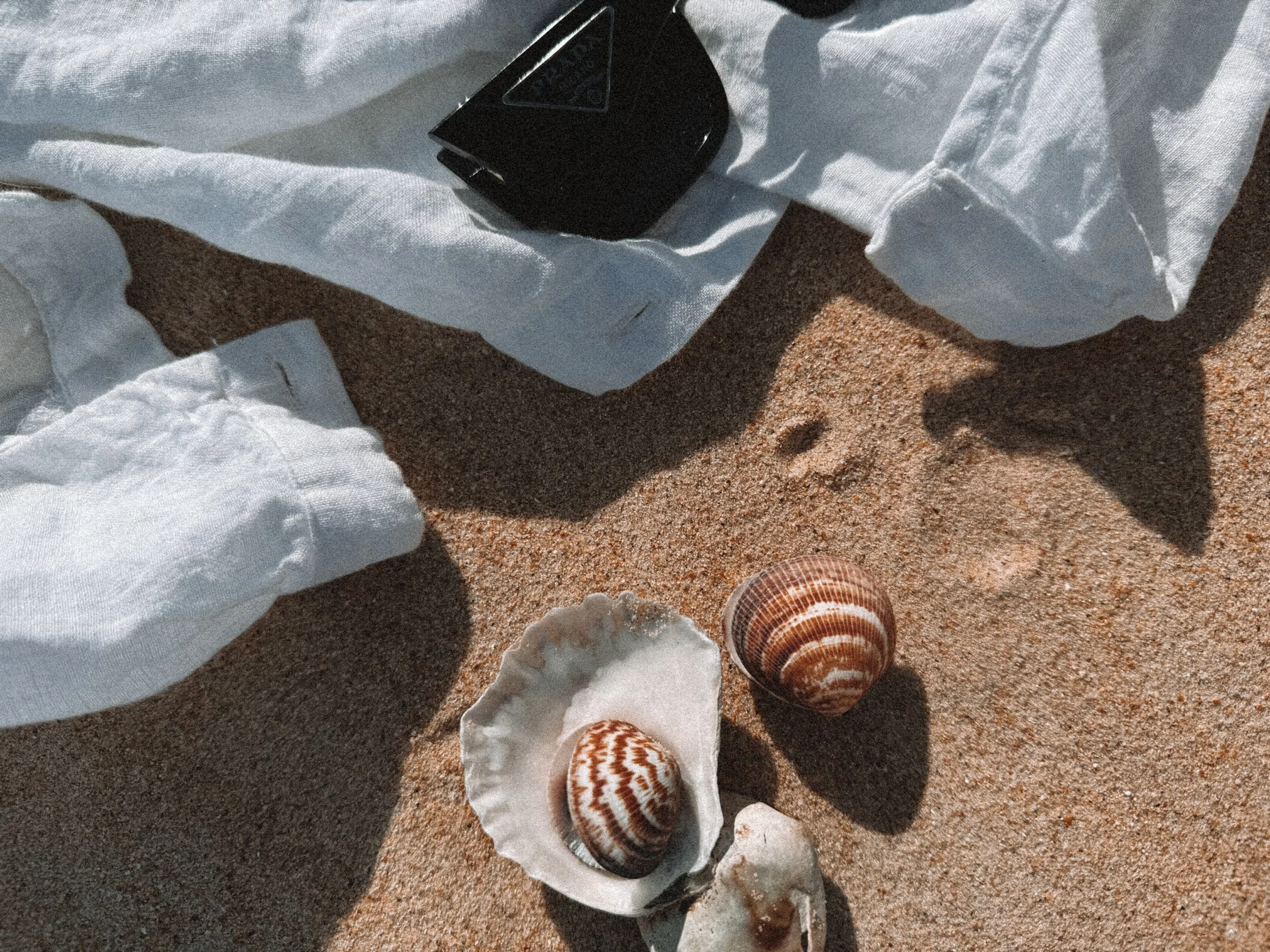Sea shells on sand with white cloth and a black object