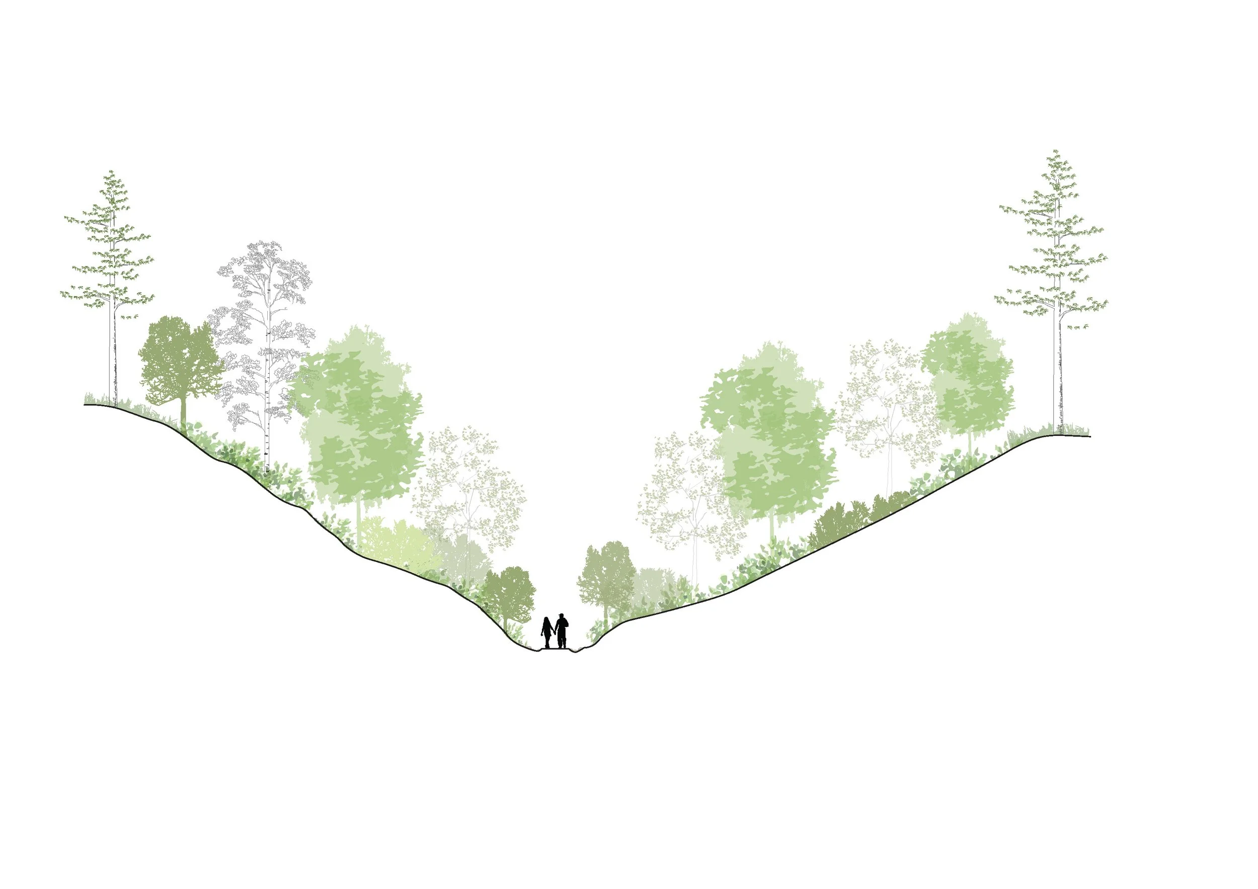 Landskapssnitt B.jpg