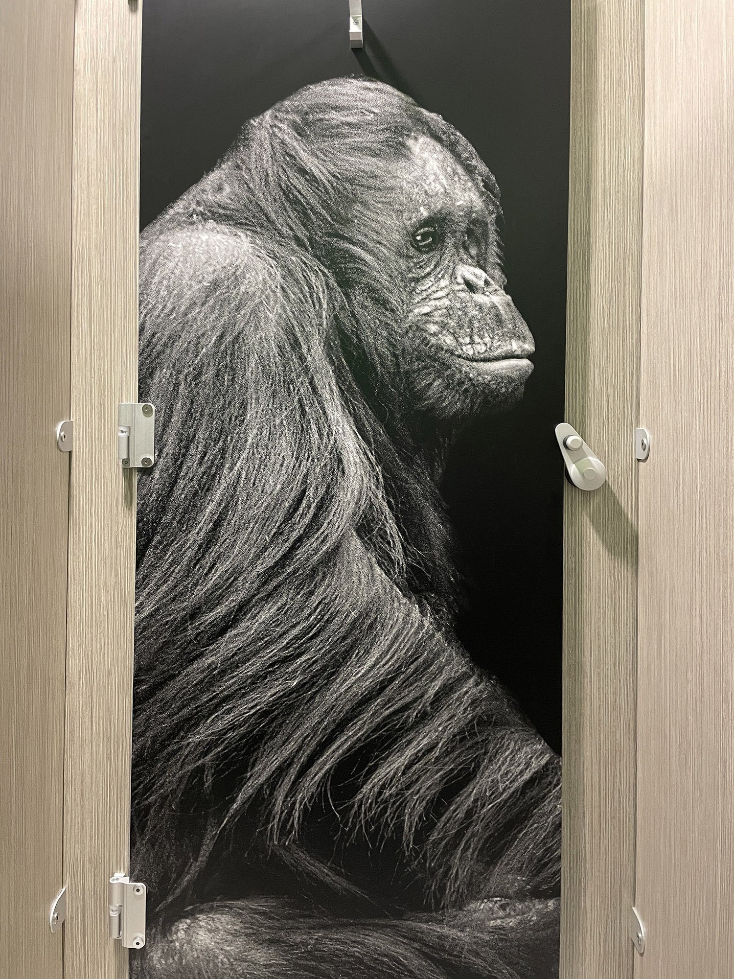 wrapped-wc-cubicle-doors.jpg