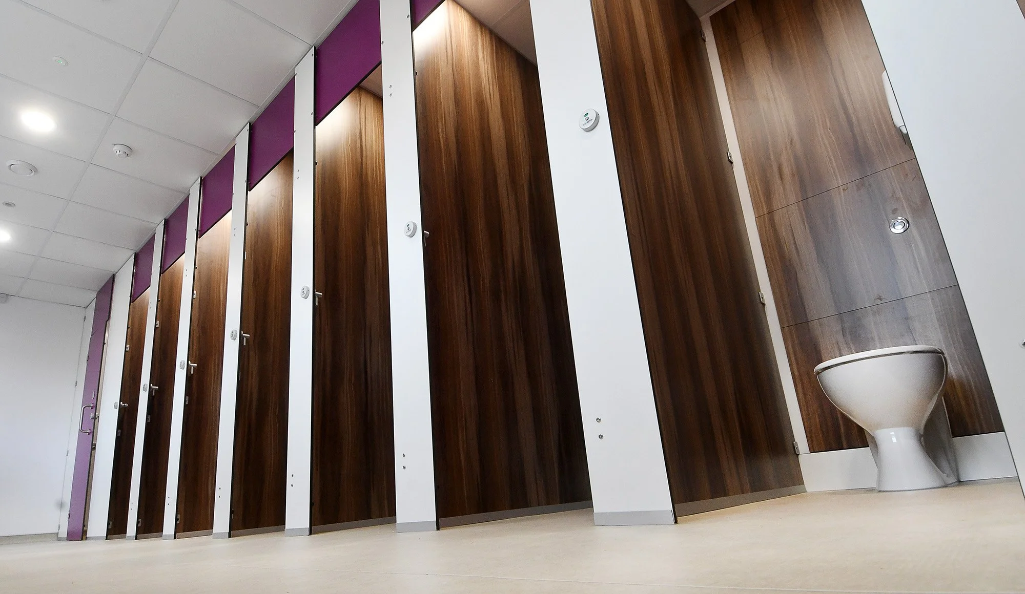 ull-height-school-toilet-cubicles-purple.jpg