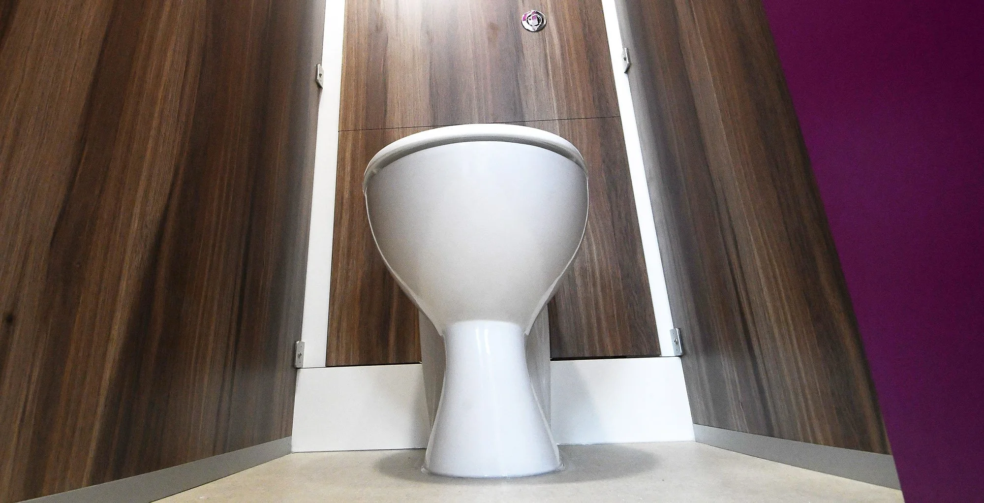 school-wc-cubicle-interior-woodgrain-panelling.jpg