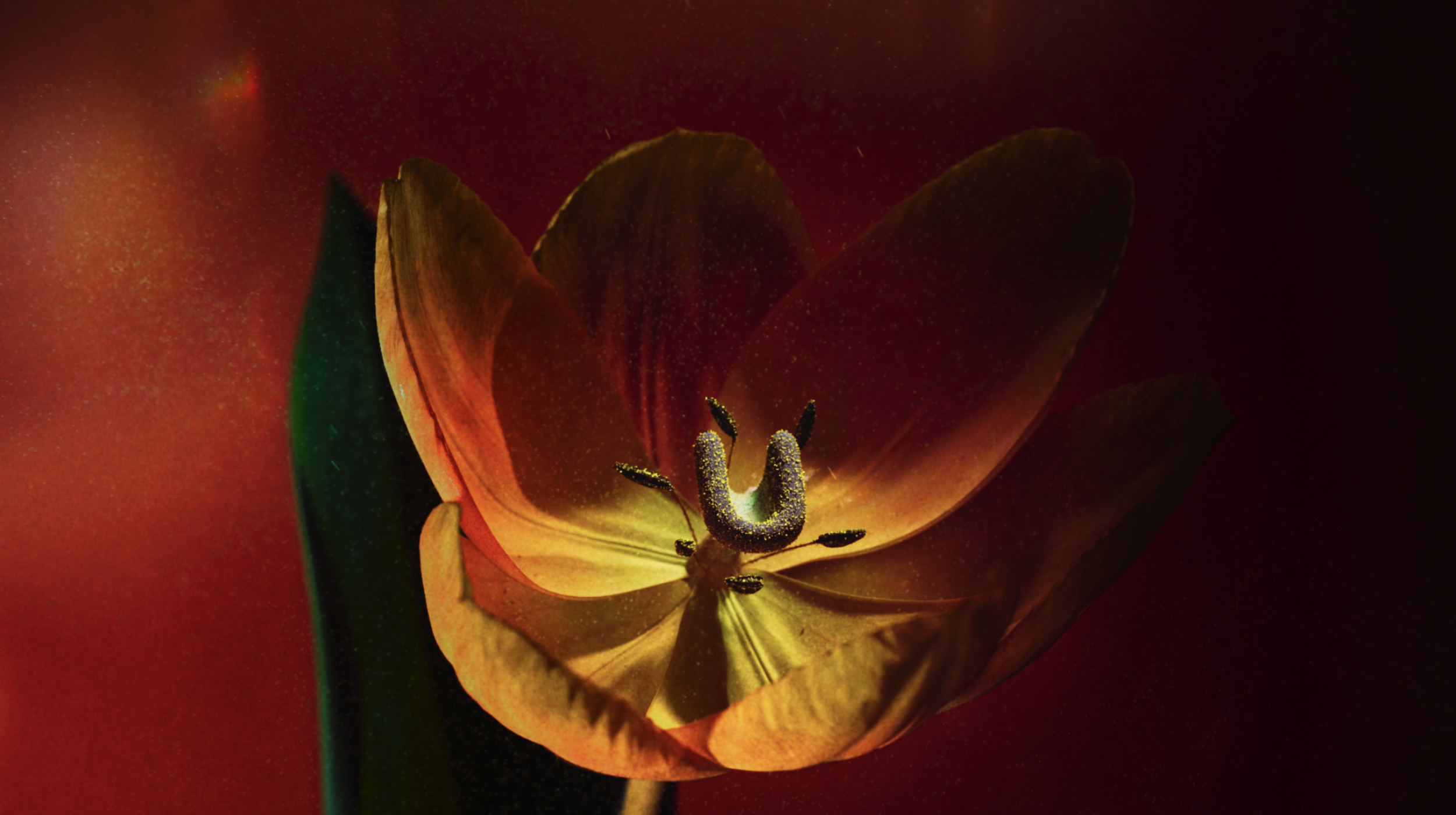 Captura de pantalla 2023-07-16 a les 21.08.11.png