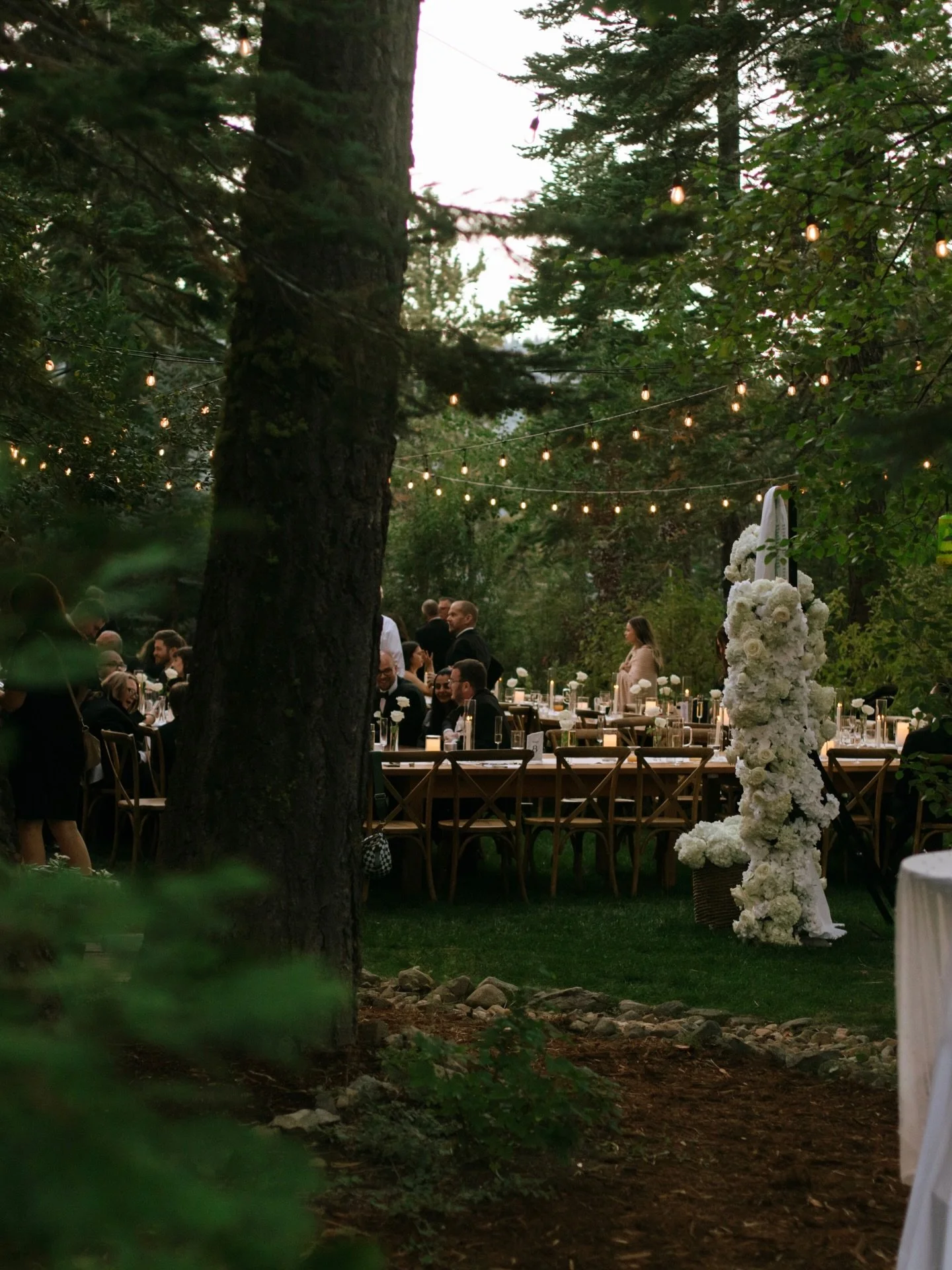 Receptions deserve love too
.
.
.
.
.
.
.
.
.
.
.
#boiseweddingphotographer #boiseidahoweddingphotographer #idahoweddingphotographer #boisephotographer