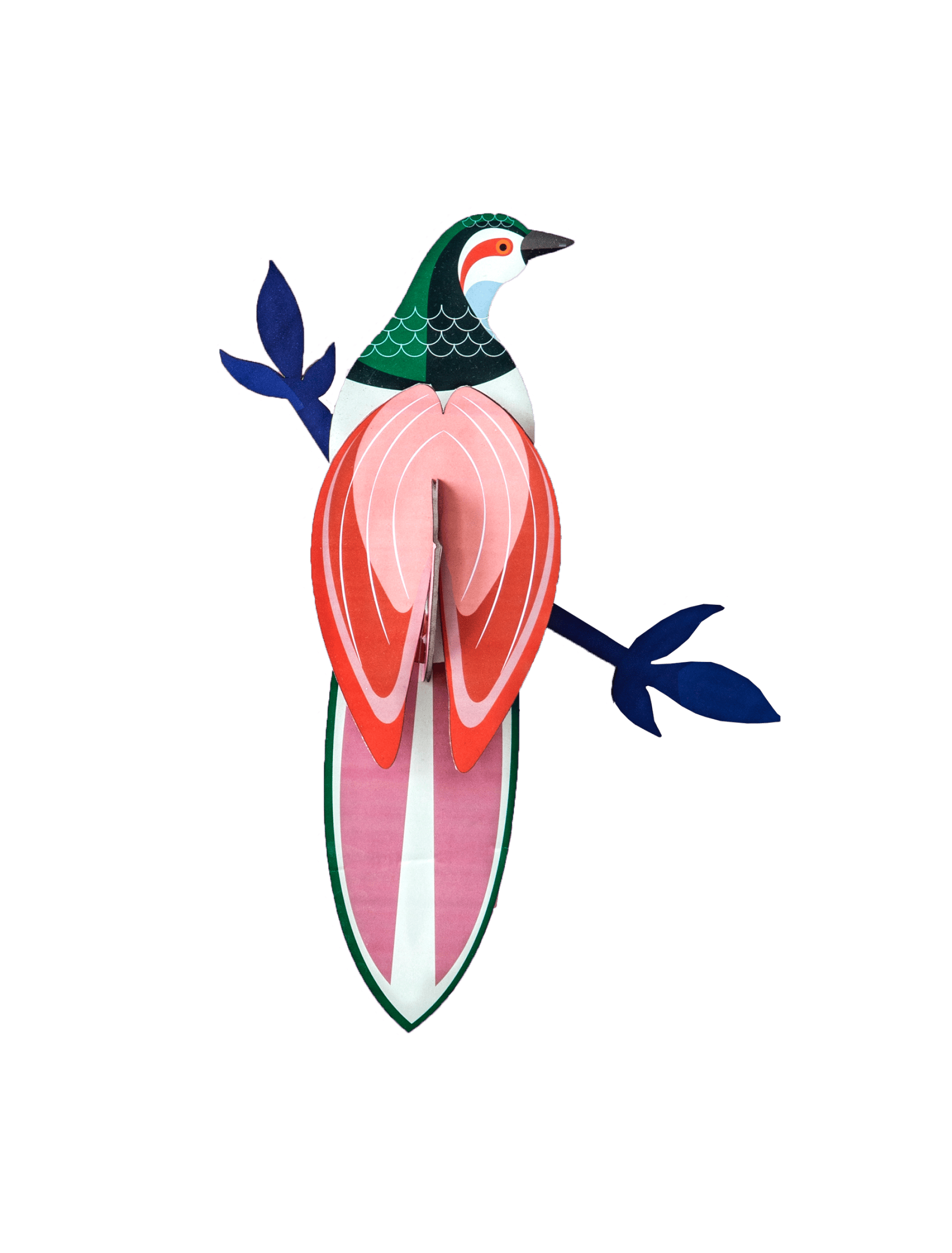 rani-bird-website-product-picture-1707483837.png