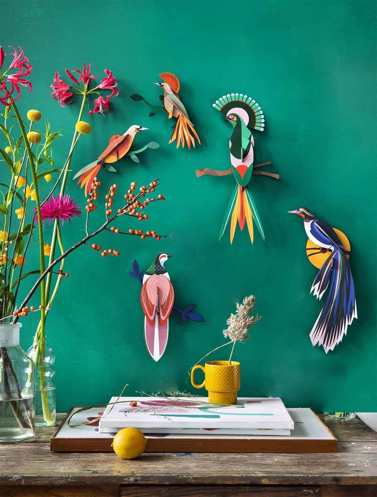 overview-paradise-birds.jpg