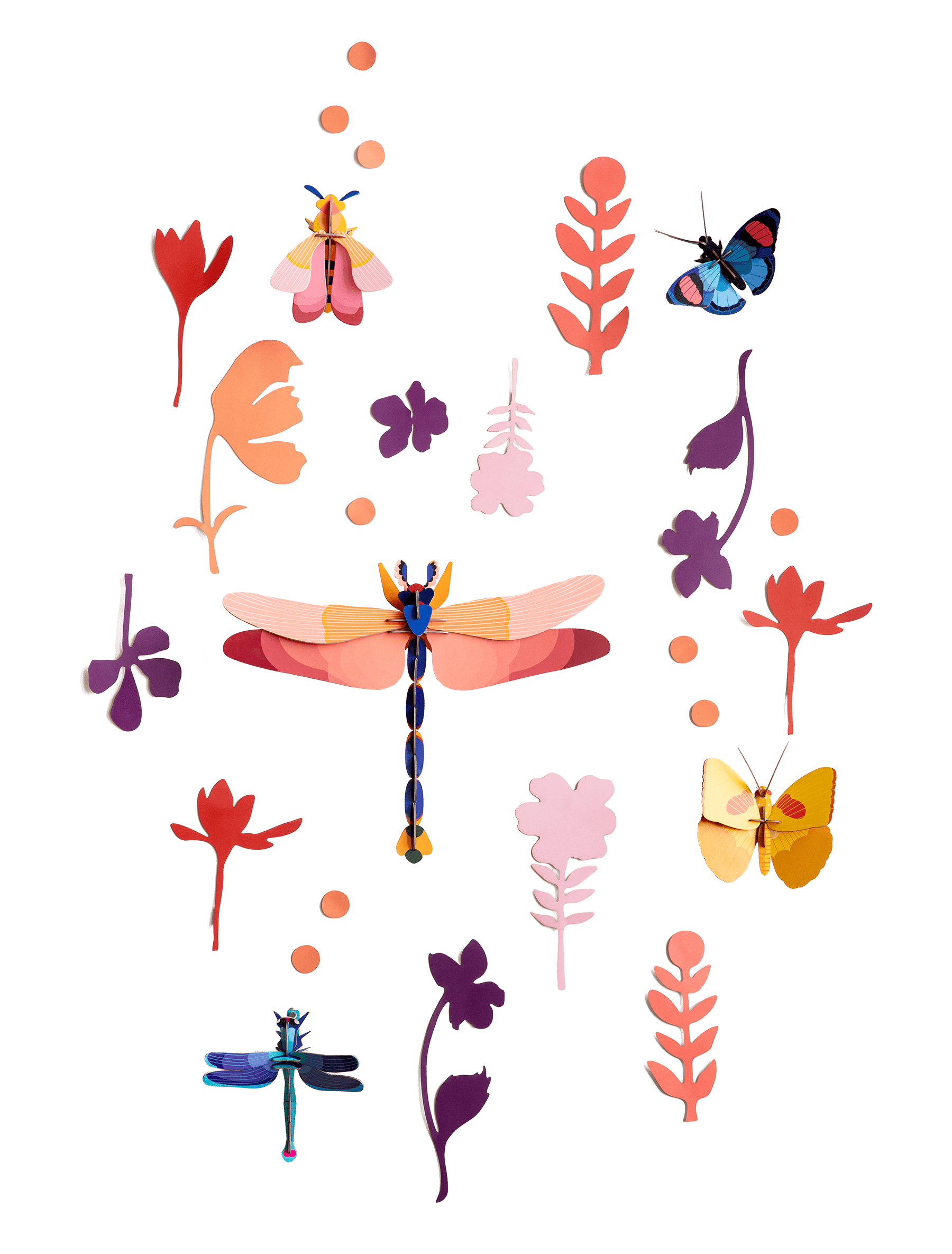 INSECT-CONNOISSEUR-1702541776.png