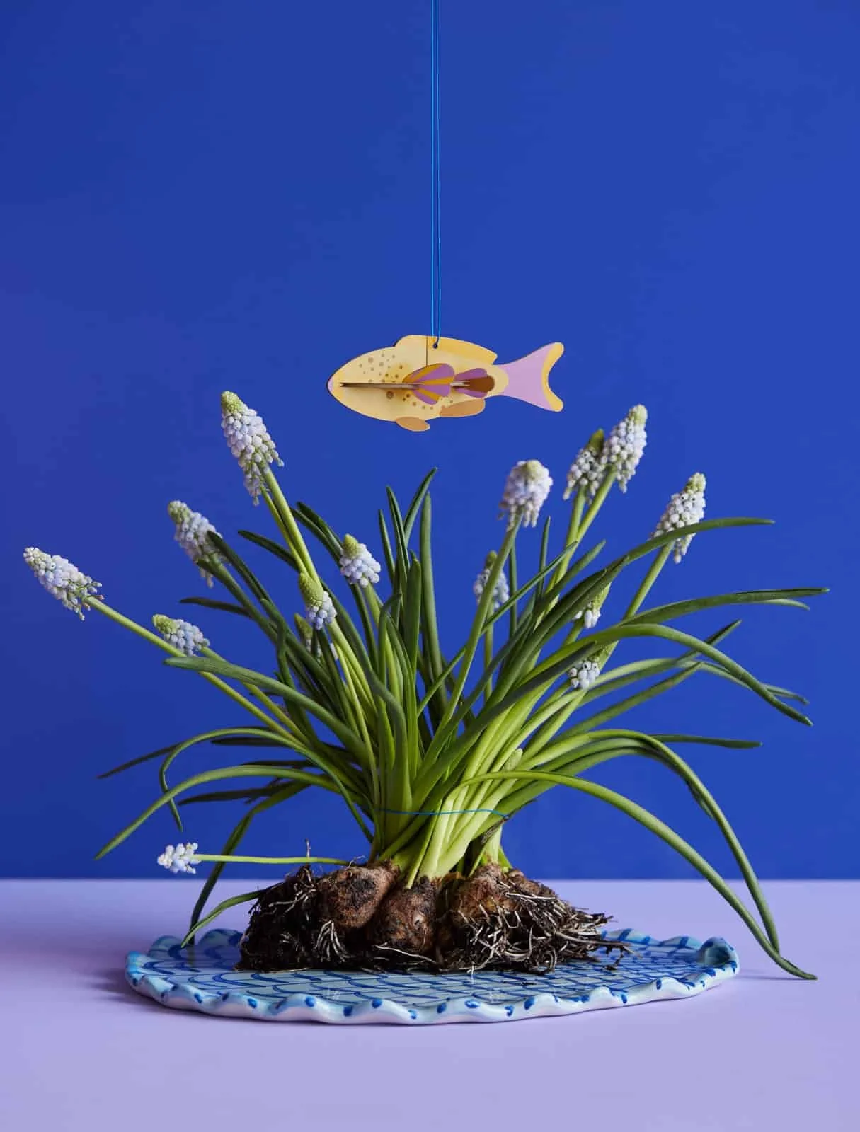 FISH_ORNAMENT-FESTIVE-PLAY-LUCKY-CHARM_WEBSITE_AMBIENT_PICTURE.jpg