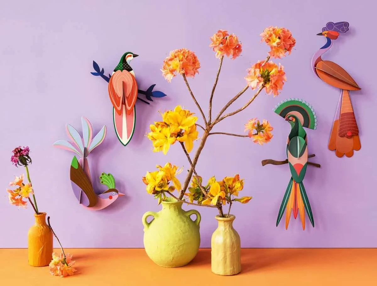 bird-ambient-overview-landscape-2-1704370337-1710508834.jpg