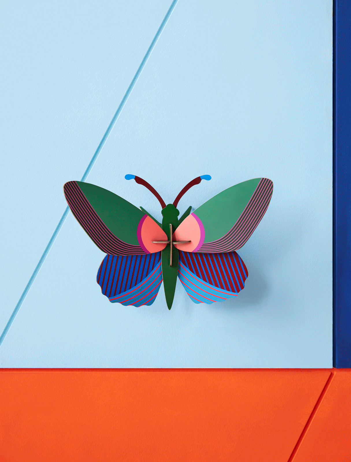 ACACIA-BUTTERFLY_WEBSITE-AMBIENT.gif