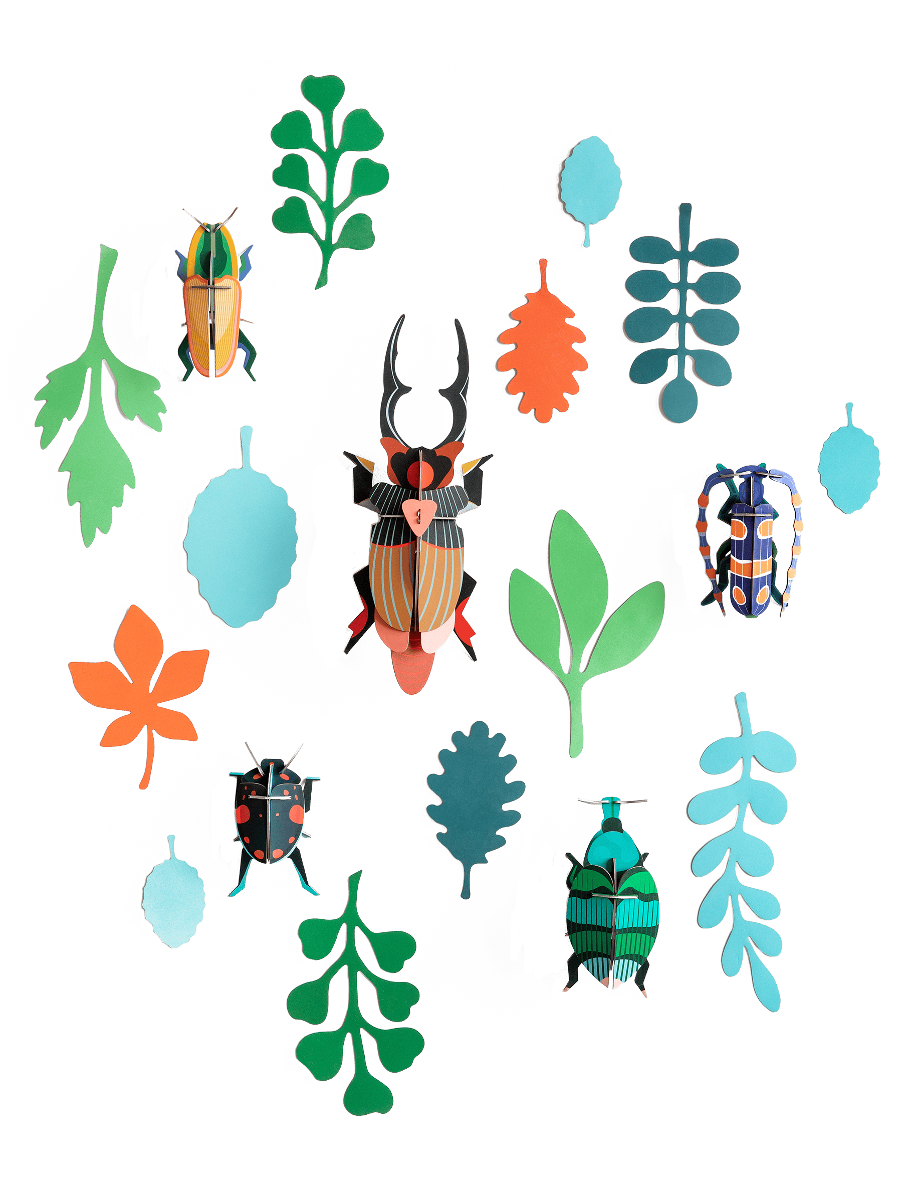 BEETLE-ANTIQUARY-1702544030.png