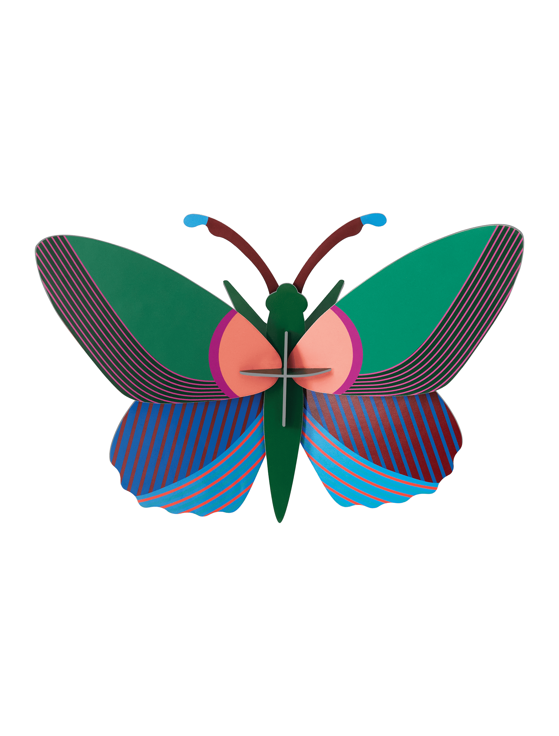ACACIA-BUTTERFLY-1702556698.png