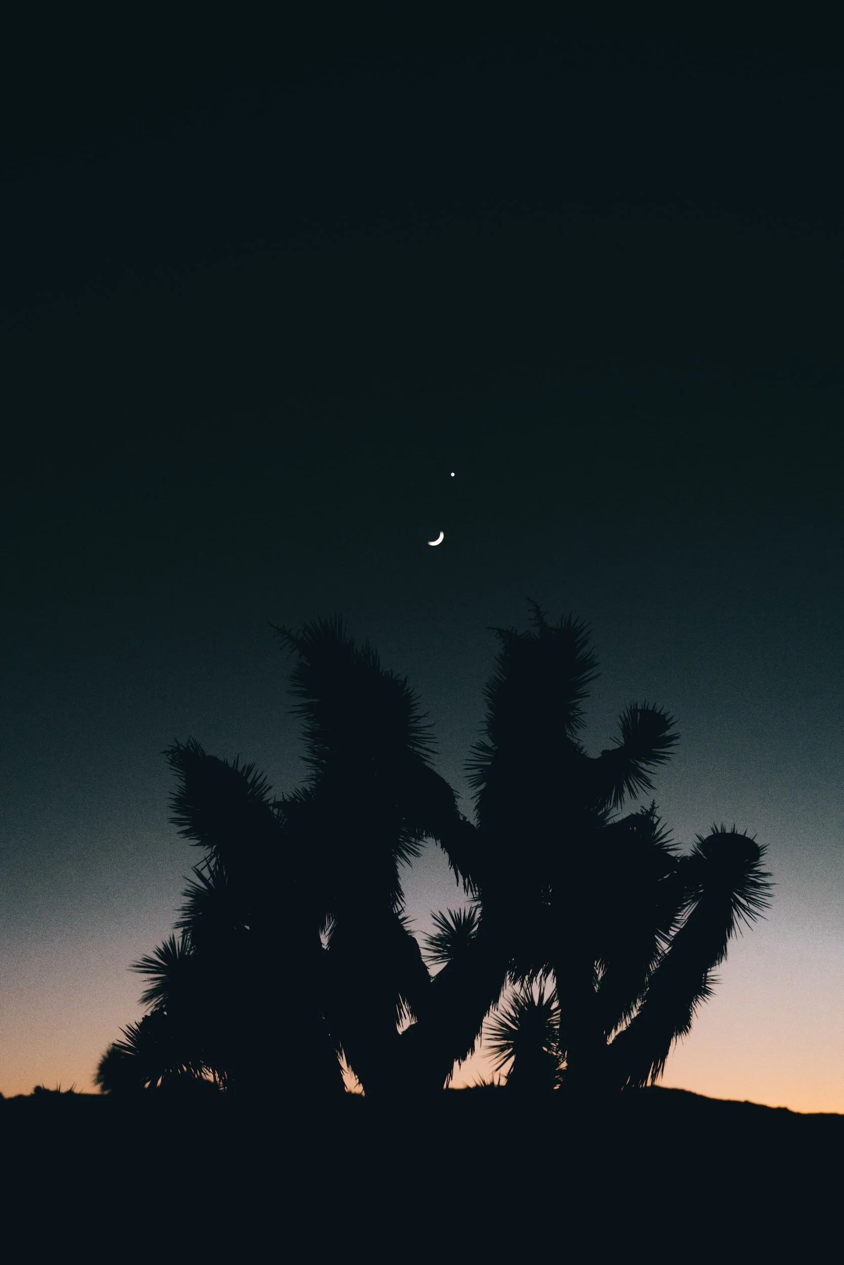 venus retrograde in&nbsp;capricorn